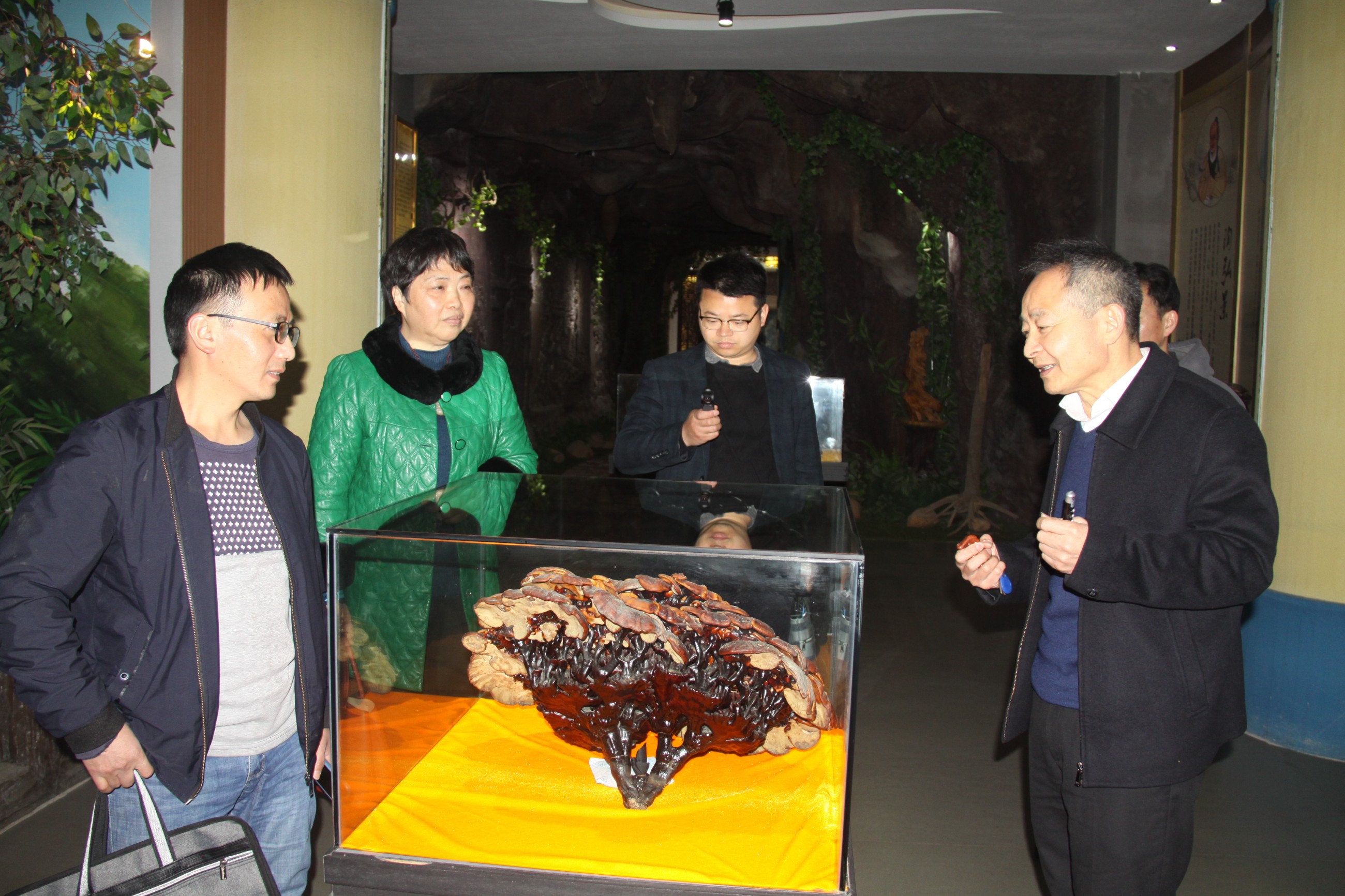 杭州亞運會官方靈芝產(chǎn)品供應商|杭州亞運會官方供應商|中國靈芝十大品牌|仙客來靈芝|仙客來靈芝破壁孢子粉|仙客來孢子油|仙客來靈芝飲片|仙客來破壁孢子粉|靈芝孢子油|孢子粉|靈芝破壁孢子粉|靈芝|中華老字號