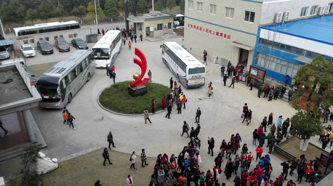 杭州亞運(yùn)會(huì)官方靈芝產(chǎn)品供應(yīng)商|杭州亞運(yùn)會(huì)官方供應(yīng)商|中國(guó)靈芝十大品牌|仙客來(lái)靈芝|仙客來(lái)靈芝破壁孢子粉|仙客來(lái)孢子油|仙客來(lái)靈芝飲片|仙客來(lái)破壁孢子粉|靈芝孢子油|孢子粉|靈芝破壁孢子粉|靈芝|中華老字號(hào) 杭州亞運(yùn)會(huì)官方靈芝產(chǎn)品供應(yīng)商|杭州亞運(yùn)會(huì)官方供應(yīng)商|中國(guó)靈芝十大品牌|仙客來(lái)靈芝|仙客來(lái)靈芝破壁孢子粉|仙客來(lái)孢子油|仙客來(lái)靈芝飲片|仙客來(lái)破壁孢子粉|靈芝孢子油|孢子粉|靈芝破壁孢子粉|靈芝|中華老字號(hào)