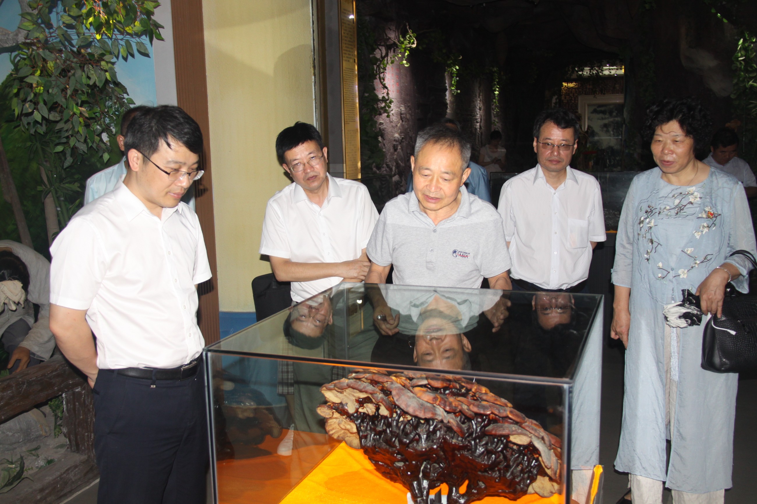 杭州亞運(yùn)會(huì)官方靈芝產(chǎn)品供應(yīng)商|杭州亞運(yùn)會(huì)官方供應(yīng)商|中國(guó)靈芝十大品牌|仙客來(lái)靈芝|仙客來(lái)靈芝破壁孢子粉|仙客來(lái)孢子油|仙客來(lái)靈芝飲片|仙客來(lái)破壁孢子粉|靈芝孢子油|孢子粉|靈芝破壁孢子粉|靈芝|中華老字號(hào) 杭州亞運(yùn)會(huì)官方靈芝產(chǎn)品供應(yīng)商|杭州亞運(yùn)會(huì)官方供應(yīng)商|中國(guó)靈芝十大品牌|仙客來(lái)靈芝|仙客來(lái)靈芝破壁孢子粉|仙客來(lái)孢子油|仙客來(lái)靈芝飲片|仙客來(lái)破壁孢子粉|靈芝孢子油|孢子粉|靈芝破壁孢子粉|靈芝|中華老字號(hào)