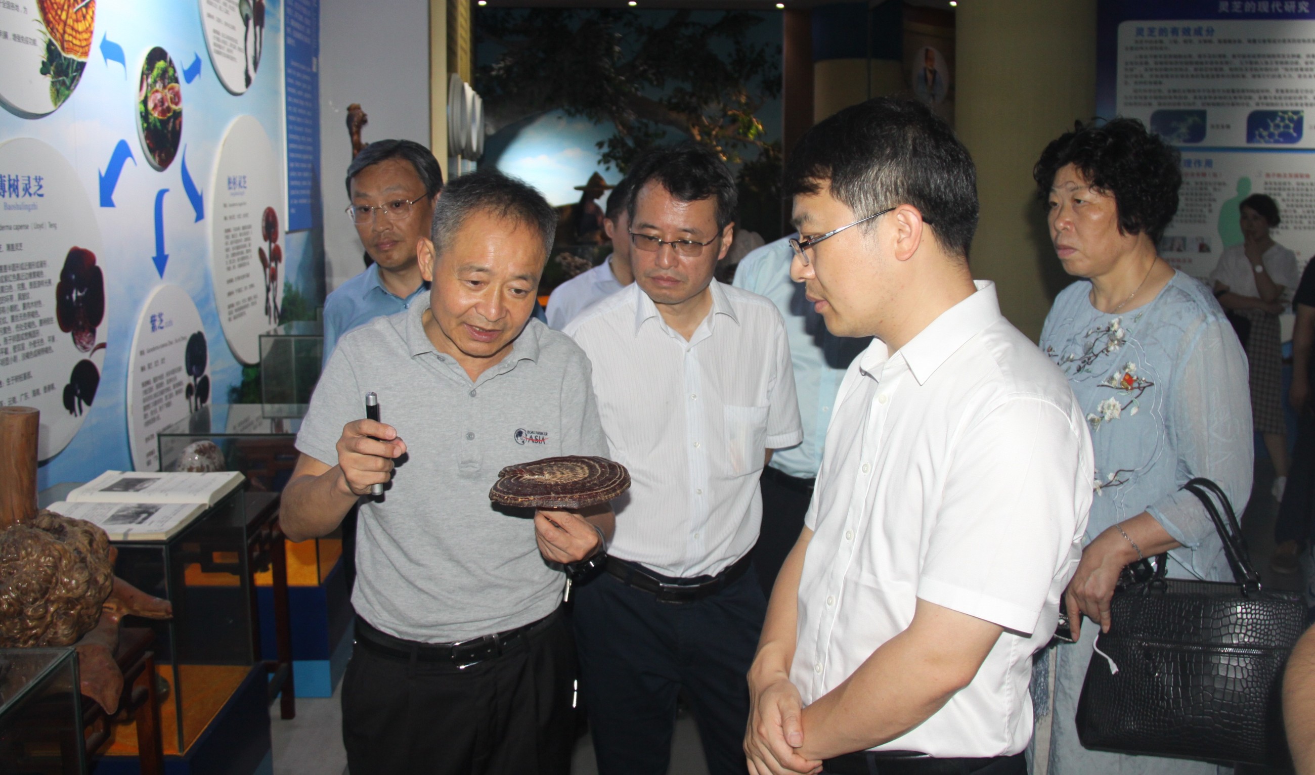 杭州亞運(yùn)會(huì)官方靈芝產(chǎn)品供應(yīng)商|杭州亞運(yùn)會(huì)官方供應(yīng)商|中國(guó)靈芝十大品牌|仙客來(lái)靈芝|仙客來(lái)靈芝破壁孢子粉|仙客來(lái)孢子油|仙客來(lái)靈芝飲片|仙客來(lái)破壁孢子粉|靈芝孢子油|孢子粉|靈芝破壁孢子粉|靈芝|中華老字號(hào) 杭州亞運(yùn)會(huì)官方靈芝產(chǎn)品供應(yīng)商|杭州亞運(yùn)會(huì)官方供應(yīng)商|中國(guó)靈芝十大品牌|仙客來(lái)靈芝|仙客來(lái)靈芝破壁孢子粉|仙客來(lái)孢子油|仙客來(lái)靈芝飲片|仙客來(lái)破壁孢子粉|靈芝孢子油|孢子粉|靈芝破壁孢子粉|靈芝|中華老字號(hào)