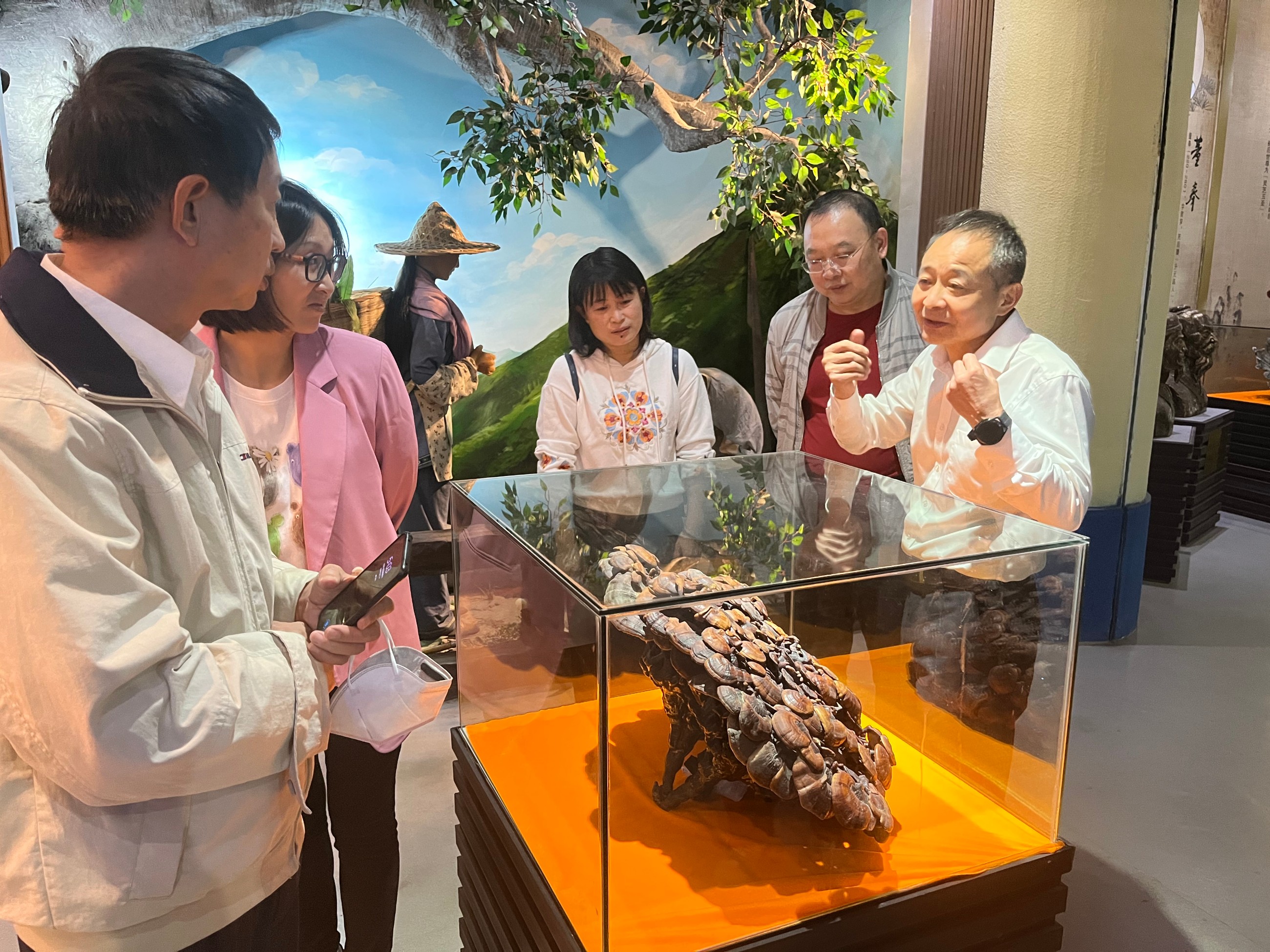 杭州亞運會官方靈芝產(chǎn)品供應商|杭州亞運會官方供應商|中國靈芝十大品牌|仙客來靈芝|仙客來靈芝破壁孢子粉|仙客來孢子油|仙客來靈芝飲片|仙客來破壁孢子粉|靈芝孢子油|孢子粉|靈芝破壁孢子粉|靈芝|中華老字號