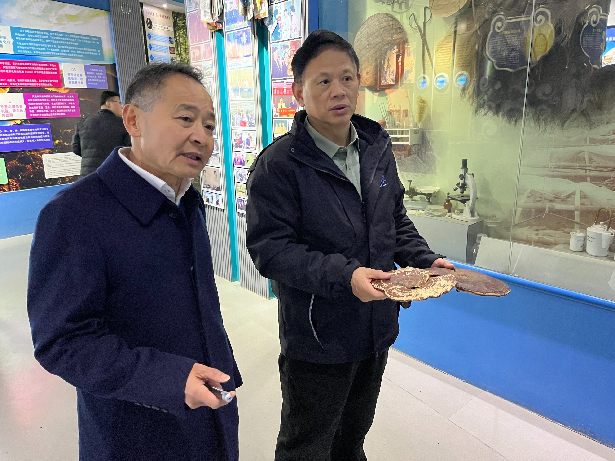 杭州亞運(yùn)會(huì)官方靈芝產(chǎn)品供應(yīng)商|杭州亞運(yùn)會(huì)官方供應(yīng)商|中國靈芝十大品牌|仙客來靈芝|仙客來靈芝破壁孢子粉|仙客來孢子油|仙客來靈芝飲片|仙客來破壁孢子粉|靈芝孢子油|孢子粉|靈芝破壁孢子粉|靈芝|中華老字號(hào)