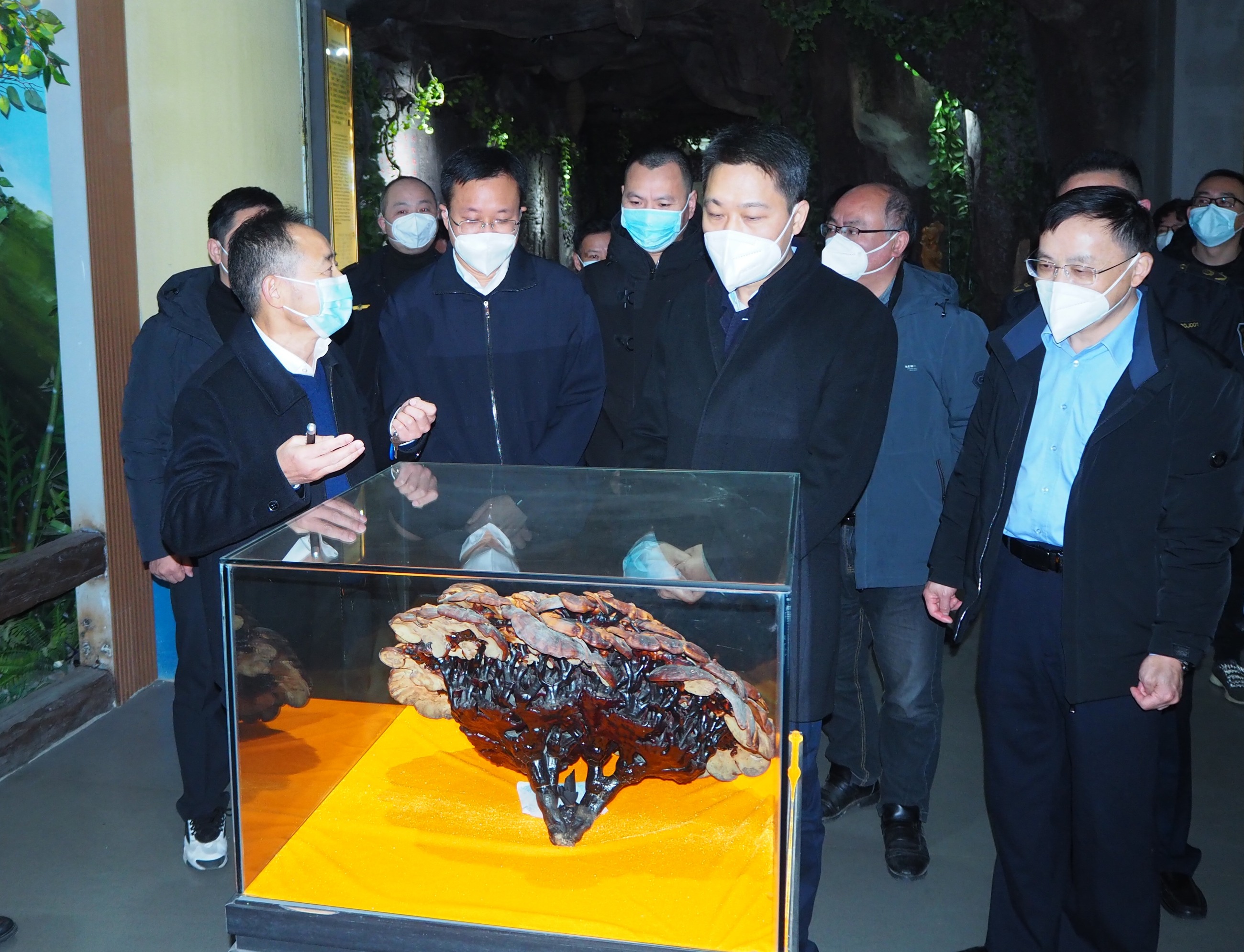 杭州亞運(yùn)會(huì)官方靈芝產(chǎn)品供應(yīng)商|杭州亞運(yùn)會(huì)官方供應(yīng)商|中國(guó)靈芝十大品牌|仙客來(lái)靈芝|仙客來(lái)靈芝破壁孢子粉|仙客來(lái)孢子油|仙客來(lái)靈芝飲片|仙客來(lái)破壁孢子粉|靈芝孢子油|孢子粉|靈芝破壁孢子粉|靈芝|中華老字號(hào)