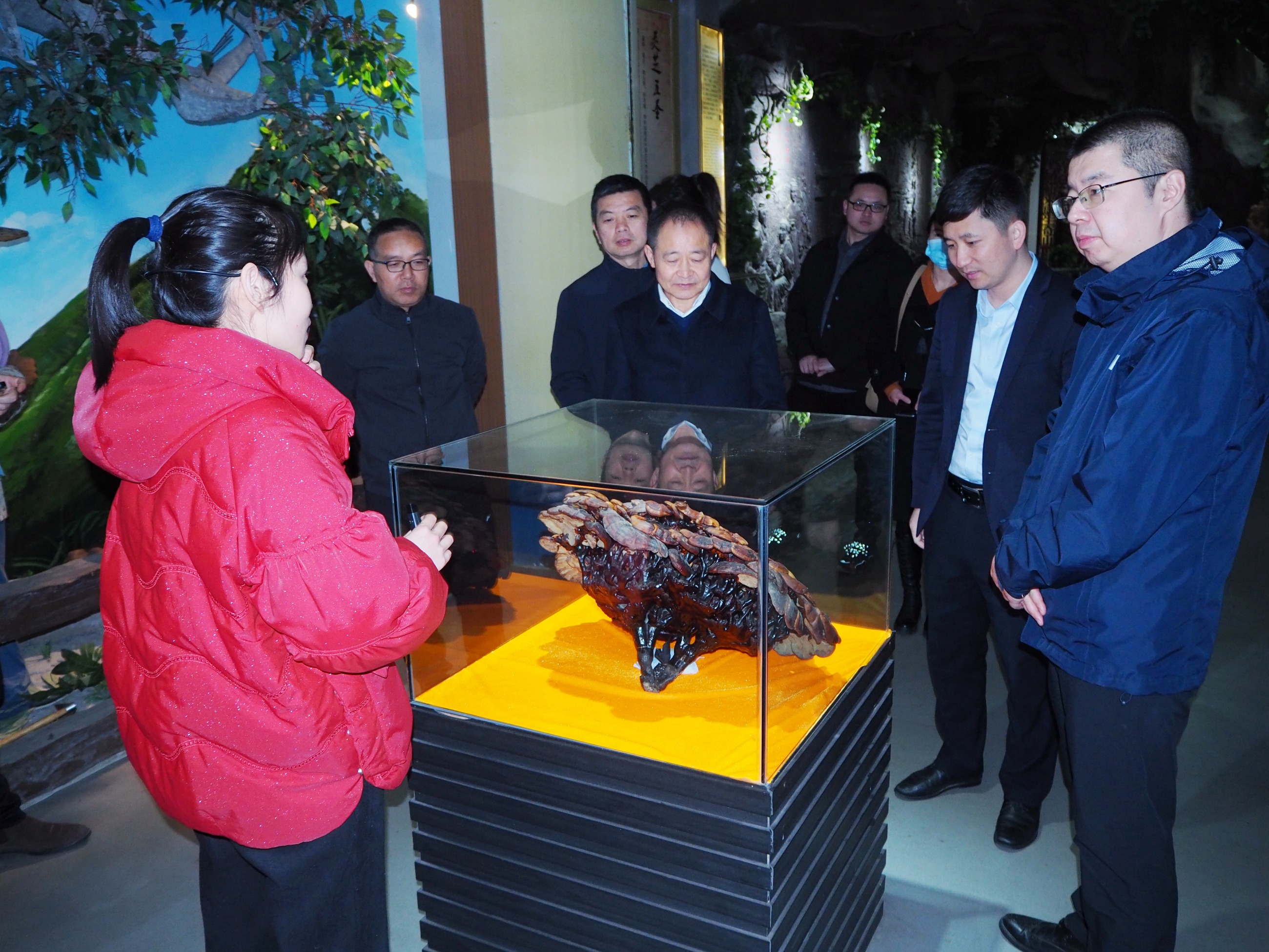 杭州亞運(yùn)會(huì)官方靈芝產(chǎn)品供應(yīng)商|杭州亞運(yùn)會(huì)官方供應(yīng)商|中國靈芝十大品牌|仙客來靈芝|仙客來靈芝破壁孢子粉|仙客來孢子油|仙客來靈芝飲片|仙客來破壁孢子粉|靈芝孢子油|孢子粉|靈芝破壁孢子粉|靈芝|中華老字號(hào)