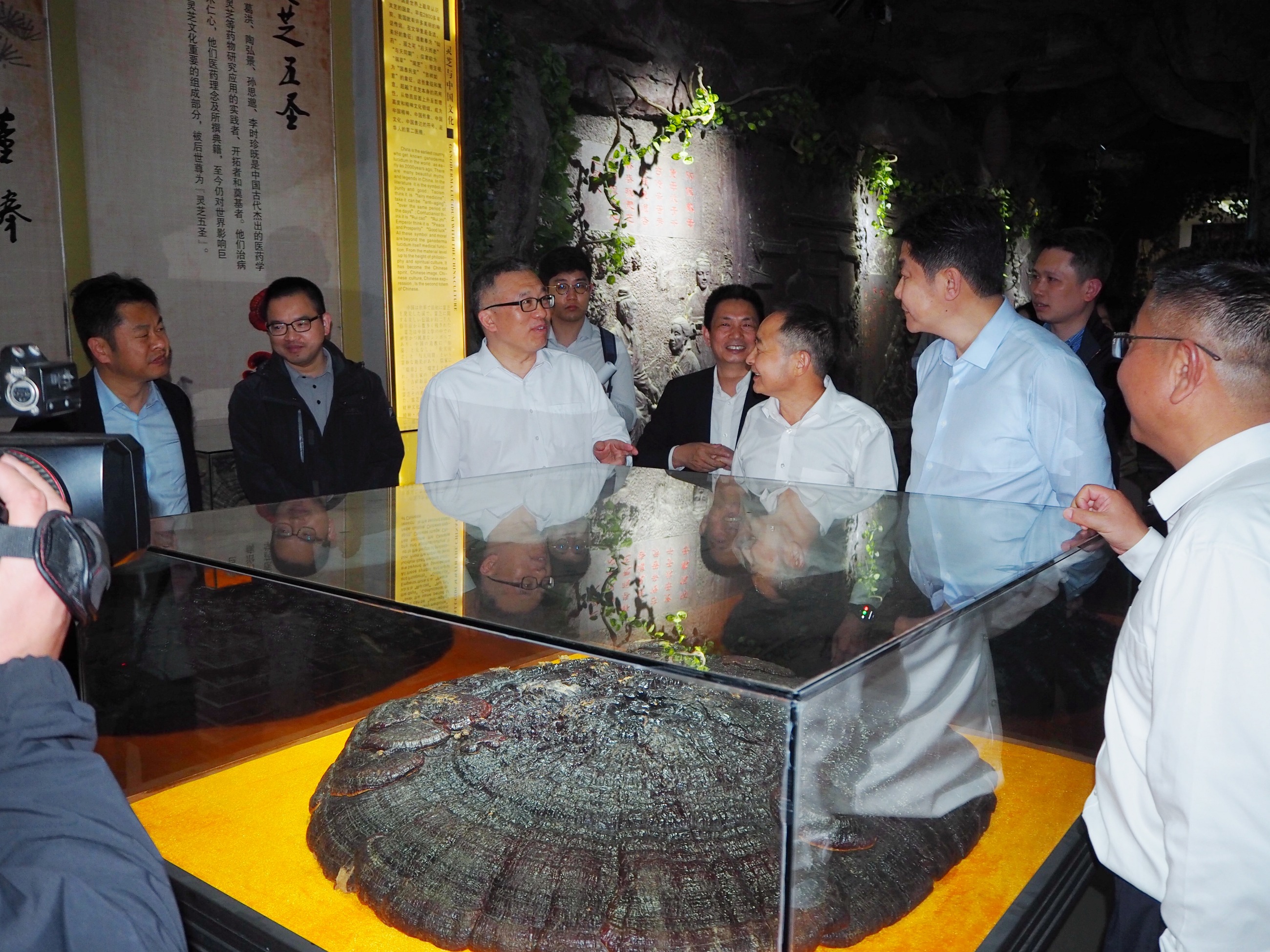 杭州亞運(yùn)會(huì)官方靈芝產(chǎn)品供應(yīng)商|杭州亞運(yùn)會(huì)官方供應(yīng)商|中國(guó)靈芝十大品牌|仙客來(lái)靈芝|仙客來(lái)靈芝破壁孢子粉|仙客來(lái)孢子油|仙客來(lái)靈芝飲片|仙客來(lái)破壁孢子粉|靈芝孢子油|孢子粉|靈芝破壁孢子粉|靈芝|中華老字號(hào)