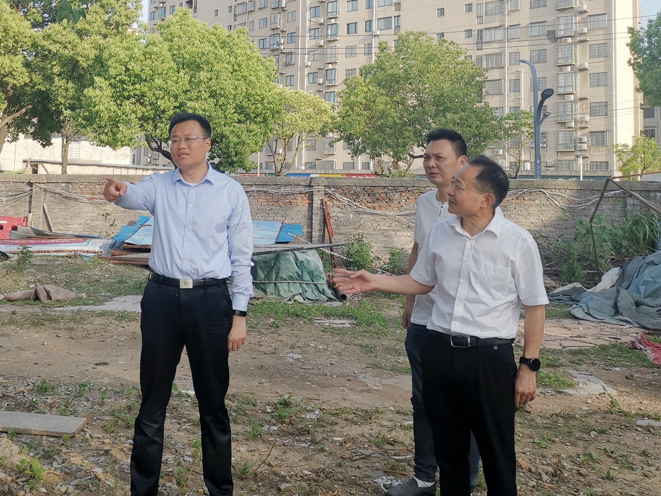 杭州亞運(yùn)會(huì)官方靈芝產(chǎn)品供應(yīng)商|杭州亞運(yùn)會(huì)官方供應(yīng)商|中國靈芝十大品牌|仙客來靈芝|仙客來靈芝破壁孢子粉|仙客來孢子油|仙客來靈芝飲片|仙客來破壁孢子粉|靈芝孢子油|孢子粉|靈芝破壁孢子粉|靈芝|中華老字號(hào) 杭州亞運(yùn)會(huì)官方靈芝產(chǎn)品供應(yīng)商|杭州亞運(yùn)會(huì)官方供應(yīng)商|中國靈芝十大品牌|仙客來靈芝|仙客來靈芝破壁孢子粉|仙客來孢子油|仙客來靈芝飲片|仙客來破壁孢子粉|靈芝孢子油|孢子粉|靈芝破壁孢子粉|靈芝|中華老字號(hào)