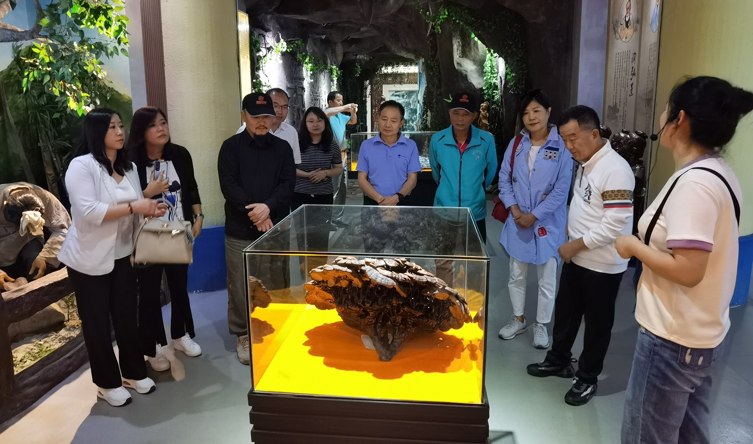 杭州亞運(yùn)會官方靈芝產(chǎn)品供應(yīng)商|杭州亞運(yùn)會官方供應(yīng)商|中國靈芝十大品牌|仙客來靈芝|仙客來靈芝破壁孢子粉|仙客來孢子油|仙客來靈芝飲片|仙客來破壁孢子粉|靈芝孢子油|孢子粉|靈芝破壁孢子粉|靈芝|中華老字號