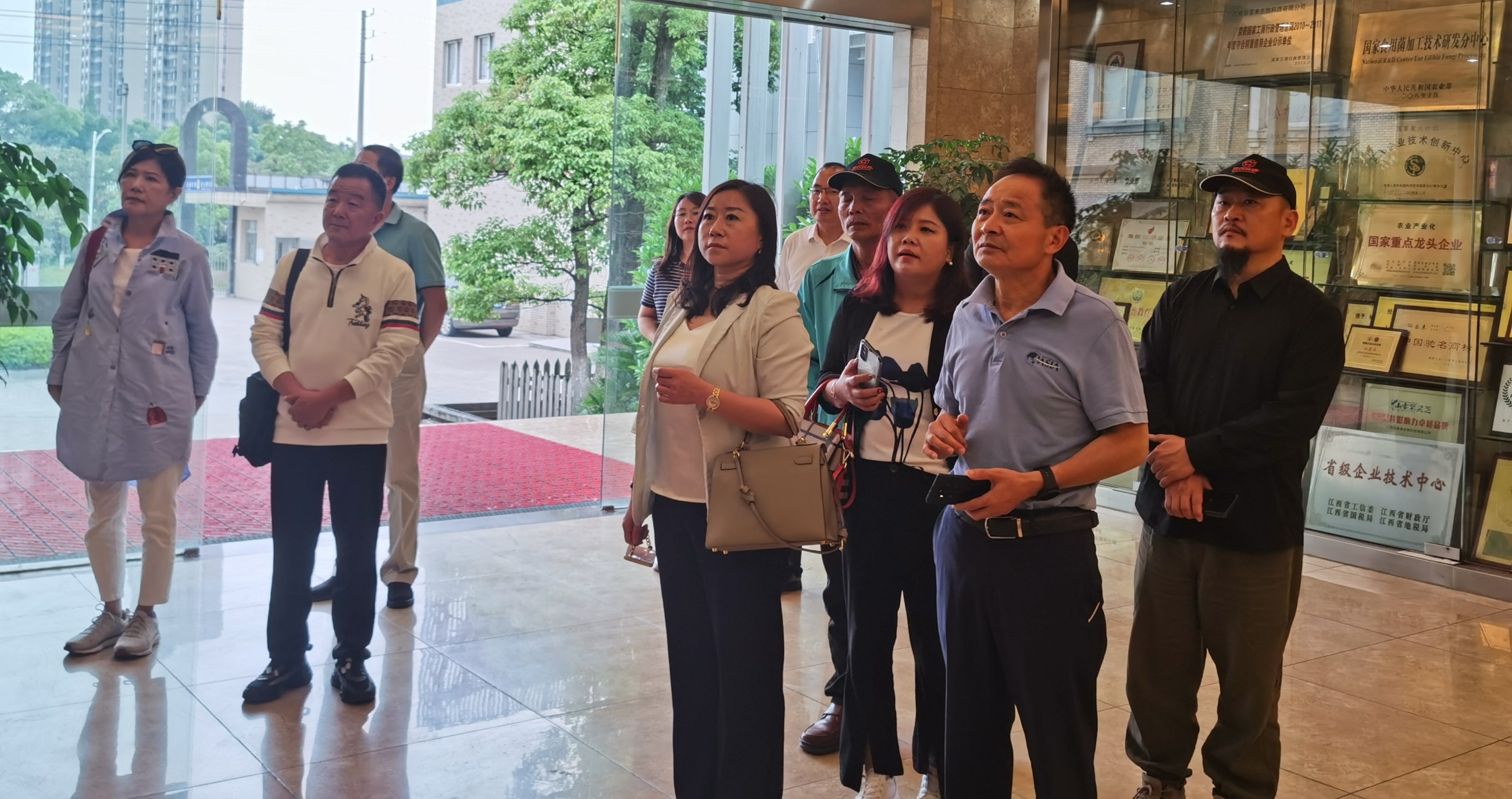 杭州亞運(yùn)會官方靈芝產(chǎn)品供應(yīng)商|杭州亞運(yùn)會官方供應(yīng)商|中國靈芝十大品牌|仙客來靈芝|仙客來靈芝破壁孢子粉|仙客來孢子油|仙客來靈芝飲片|仙客來破壁孢子粉|靈芝孢子油|孢子粉|靈芝破壁孢子粉|靈芝|中華老字號