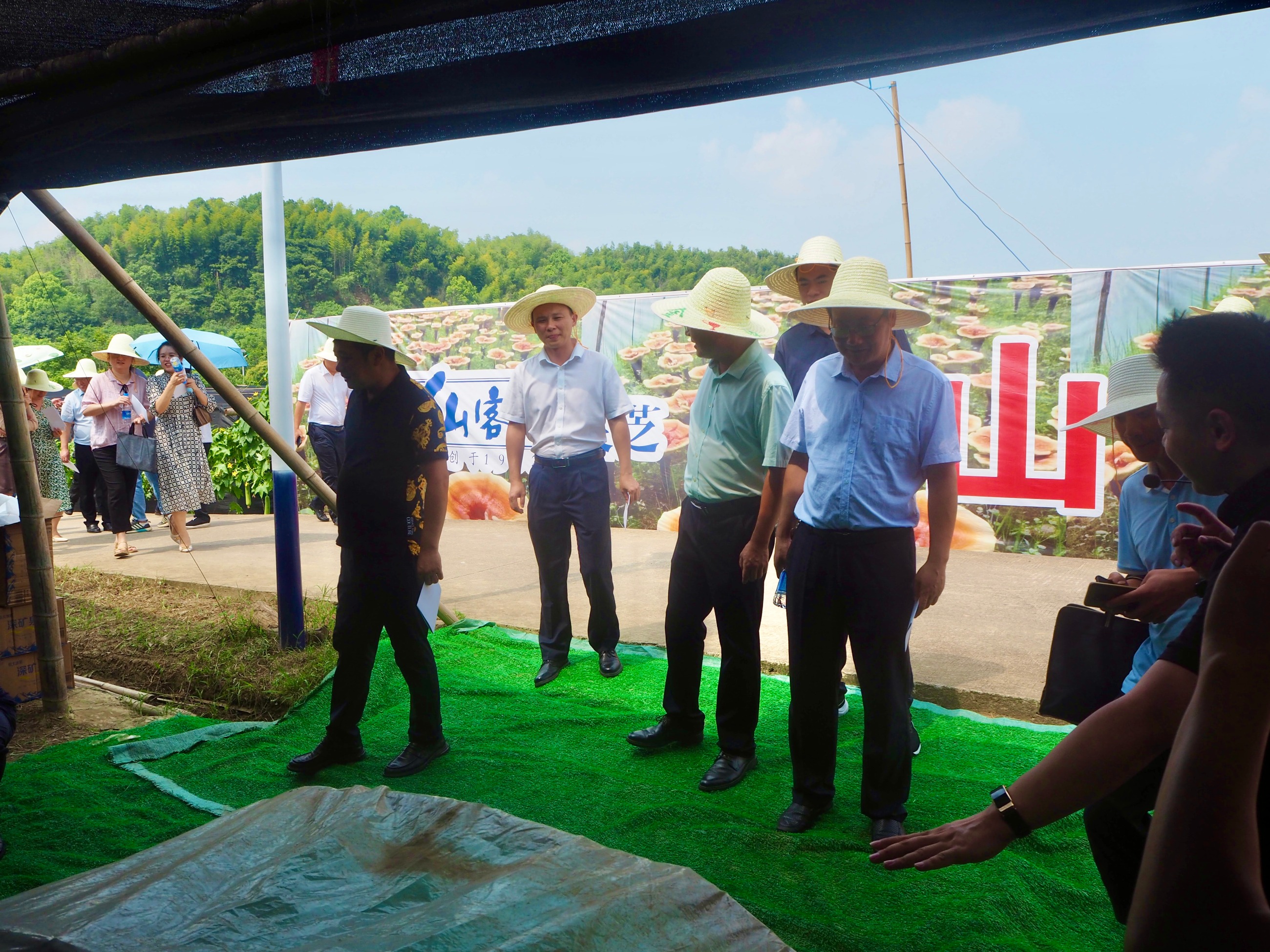 杭州亞運(yùn)會(huì)官方靈芝產(chǎn)品供應(yīng)商|杭州亞運(yùn)會(huì)官方供應(yīng)商|中國(guó)靈芝十大品牌|仙客來(lái)靈芝|仙客來(lái)靈芝破壁孢子粉|仙客來(lái)孢子油|仙客來(lái)靈芝飲片|仙客來(lái)破壁孢子粉|靈芝孢子油|孢子粉|靈芝破壁孢子粉|靈芝|中華老字號(hào) 杭州亞運(yùn)會(huì)官方靈芝產(chǎn)品供應(yīng)商|杭州亞運(yùn)會(huì)官方供應(yīng)商|中國(guó)靈芝十大品牌|仙客來(lái)靈芝|仙客來(lái)靈芝破壁孢子粉|仙客來(lái)孢子油|仙客來(lái)靈芝飲片|仙客來(lái)破壁孢子粉|靈芝孢子油|孢子粉|靈芝破壁孢子粉|靈芝|中華老字號(hào)