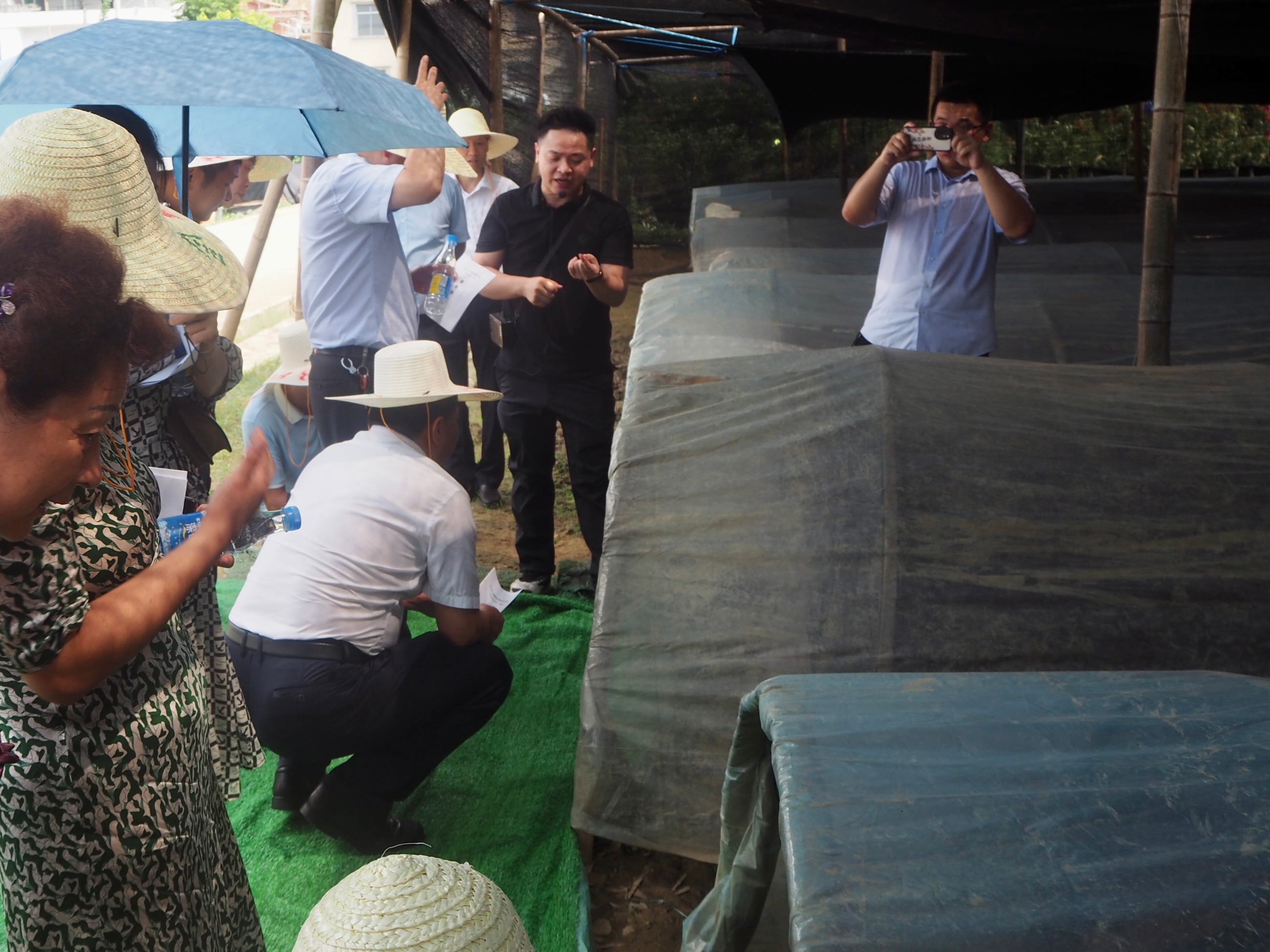 杭州亞運(yùn)會(huì)官方靈芝產(chǎn)品供應(yīng)商|杭州亞運(yùn)會(huì)官方供應(yīng)商|中國(guó)靈芝十大品牌|仙客來(lái)靈芝|仙客來(lái)靈芝破壁孢子粉|仙客來(lái)孢子油|仙客來(lái)靈芝飲片|仙客來(lái)破壁孢子粉|靈芝孢子油|孢子粉|靈芝破壁孢子粉|靈芝|中華老字號(hào) 杭州亞運(yùn)會(huì)官方靈芝產(chǎn)品供應(yīng)商|杭州亞運(yùn)會(huì)官方供應(yīng)商|中國(guó)靈芝十大品牌|仙客來(lái)靈芝|仙客來(lái)靈芝破壁孢子粉|仙客來(lái)孢子油|仙客來(lái)靈芝飲片|仙客來(lái)破壁孢子粉|靈芝孢子油|孢子粉|靈芝破壁孢子粉|靈芝|中華老字號(hào)