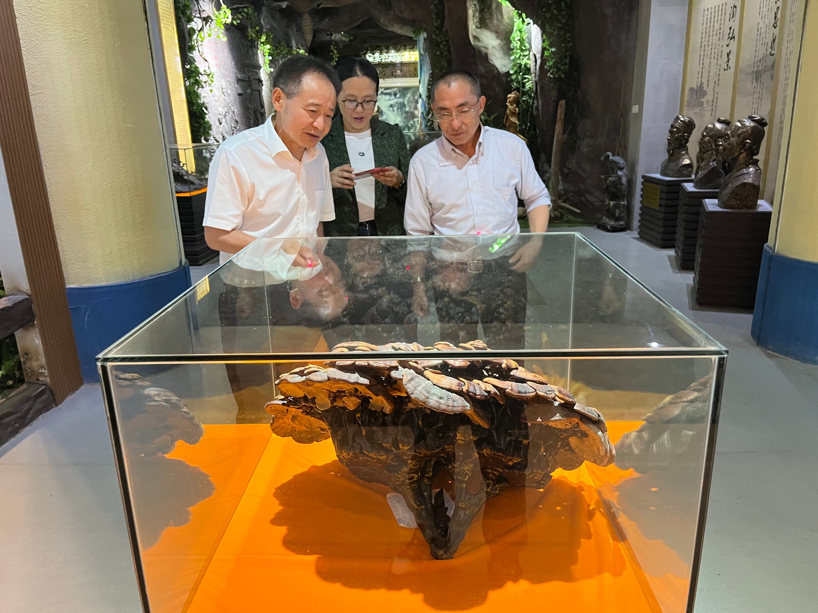 杭州亞運(yùn)會(huì)官方靈芝產(chǎn)品供應(yīng)商|杭州亞運(yùn)會(huì)官方供應(yīng)商|中國(guó)靈芝十大品牌|仙客來(lái)靈芝|仙客來(lái)靈芝破壁孢子粉|仙客來(lái)孢子油|仙客來(lái)靈芝飲片|仙客來(lái)破壁孢子粉|靈芝孢子油|孢子粉|靈芝破壁孢子粉|靈芝|中華老字號(hào) 杭州亞運(yùn)會(huì)官方靈芝產(chǎn)品供應(yīng)商|杭州亞運(yùn)會(huì)官方供應(yīng)商|中國(guó)靈芝十大品牌|仙客來(lái)靈芝|仙客來(lái)靈芝破壁孢子粉|仙客來(lái)孢子油|仙客來(lái)靈芝飲片|仙客來(lái)破壁孢子粉|靈芝孢子油|孢子粉|靈芝破壁孢子粉|靈芝|中華老字號(hào)