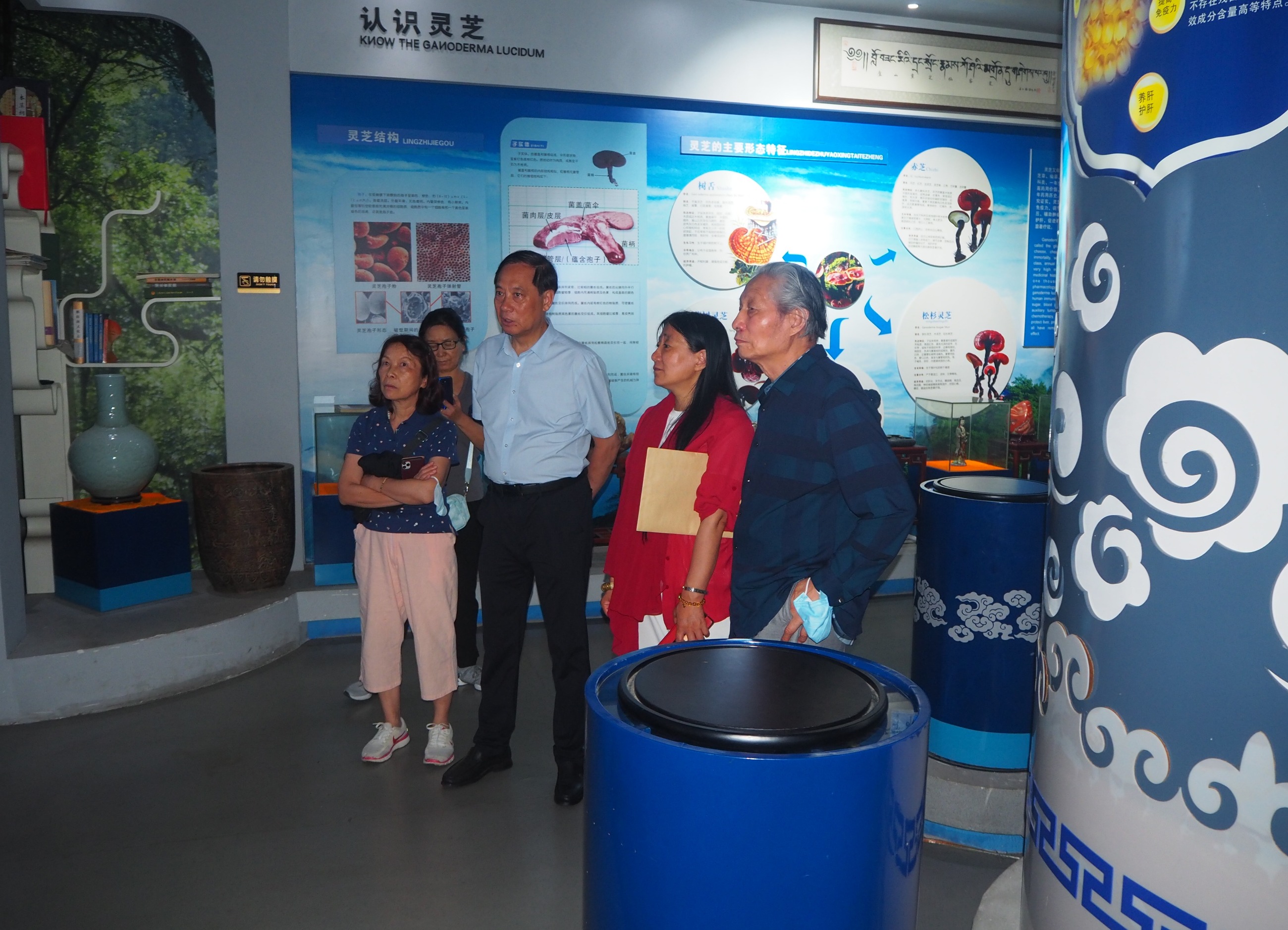 杭州亞運(yùn)會(huì)官方靈芝產(chǎn)品供應(yīng)商|杭州亞運(yùn)會(huì)官方供應(yīng)商|中國靈芝十大品牌|仙客來靈芝|仙客來靈芝破壁孢子粉|仙客來孢子油|仙客來靈芝飲片|仙客來破壁孢子粉|靈芝孢子油|孢子粉|靈芝破壁孢子粉|靈芝|中華老字號(hào)