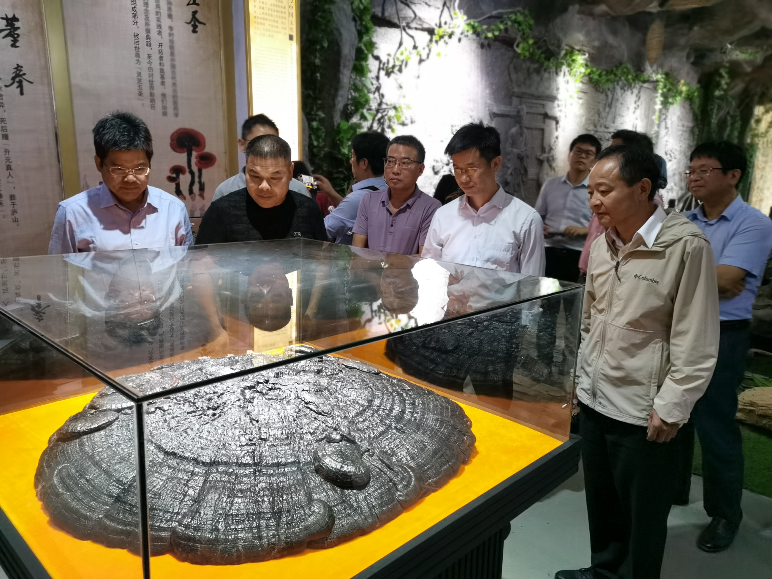 杭州亞運(yùn)會官方靈芝產(chǎn)品供應(yīng)商|杭州亞運(yùn)會官方供應(yīng)商|中國靈芝十大品牌|仙客來靈芝|仙客來靈芝破壁孢子粉|仙客來孢子油|仙客來靈芝飲片|仙客來破壁孢子粉|靈芝孢子油|孢子粉|靈芝破壁孢子粉|靈芝|中華老字號