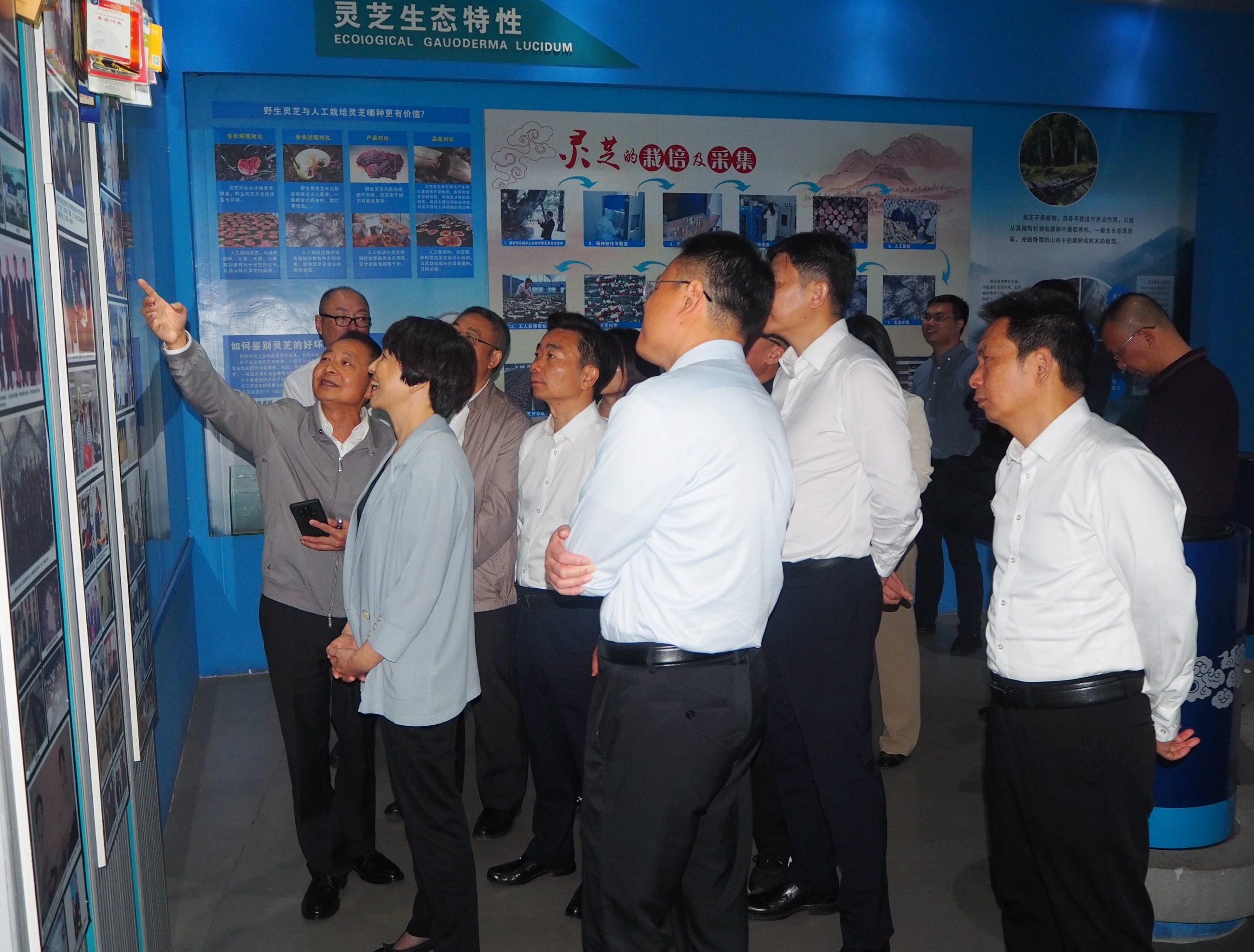 杭州亞運(yùn)會(huì)官方靈芝產(chǎn)品供應(yīng)商|杭州亞運(yùn)會(huì)官方供應(yīng)商|中國靈芝十大品牌|仙客來靈芝|仙客來靈芝破壁孢子粉|仙客來孢子油|仙客來靈芝飲片|仙客來破壁孢子粉|靈芝孢子油|孢子粉|靈芝破壁孢子粉|靈芝|中華老字號(hào) 杭州亞運(yùn)會(huì)官方靈芝產(chǎn)品供應(yīng)商|杭州亞運(yùn)會(huì)官方供應(yīng)商|中國靈芝十大品牌|仙客來靈芝|仙客來靈芝破壁孢子粉|仙客來孢子油|仙客來靈芝飲片|仙客來破壁孢子粉|靈芝孢子油|孢子粉|靈芝破壁孢子粉|靈芝|中華老字號(hào)