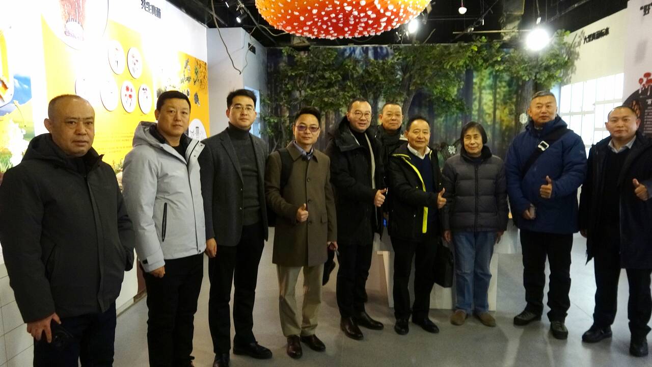 杭州亞運會官方靈芝產品供應商|杭州亞運會官方供應商|中國靈芝十大品牌|仙客來靈芝|仙客來靈芝破壁孢子粉|仙客來孢子油|仙客來靈芝飲片|仙客來破壁孢子粉|靈芝孢子油|孢子粉|靈芝破壁孢子粉|靈芝|中華老字號 杭州亞運會官方靈芝產品供應商|杭州亞運會官方供應商|中國靈芝十大品牌|仙客來靈芝|仙客來靈芝破壁孢子粉|仙客來孢子油|仙客來靈芝飲片|仙客來破壁孢子粉|靈芝孢子油|孢子粉|靈芝破壁孢子粉|靈芝|中華老字號