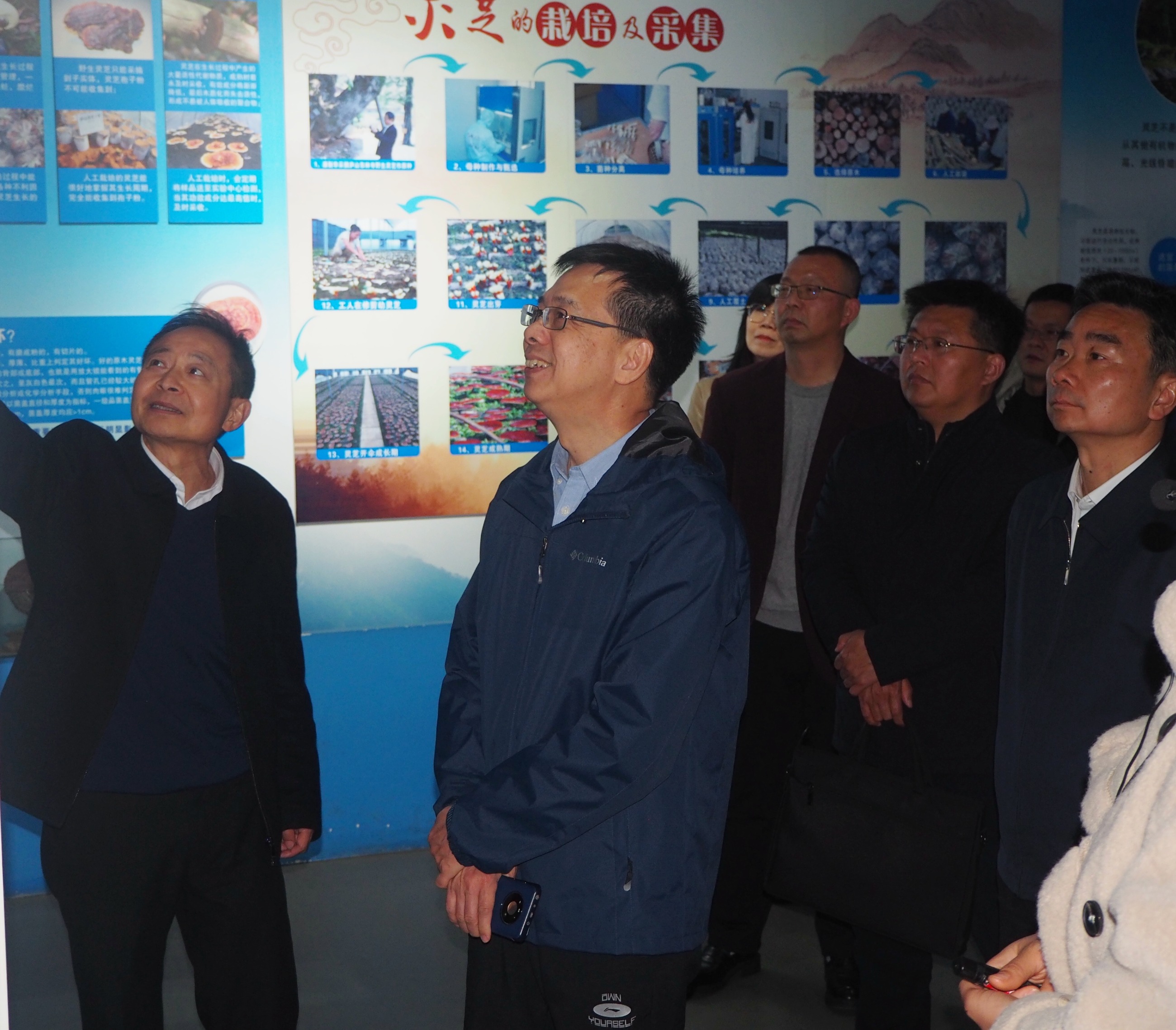 杭州亞運會官方靈芝產(chǎn)品供應商|杭州亞運會官方供應商|中國靈芝十大品牌|仙客來靈芝|仙客來靈芝破壁孢子粉|仙客來孢子油|仙客來靈芝飲片|仙客來破壁孢子粉|靈芝孢子油|孢子粉|靈芝破壁孢子粉|靈芝|中華老字號 杭州亞運會官方靈芝產(chǎn)品供應商|杭州亞運會官方供應商|中國靈芝十大品牌|仙客來靈芝|仙客來靈芝破壁孢子粉|仙客來孢子油|仙客來靈芝飲片|仙客來破壁孢子粉|靈芝孢子油|孢子粉|靈芝破壁孢子粉|靈芝|中華老字號