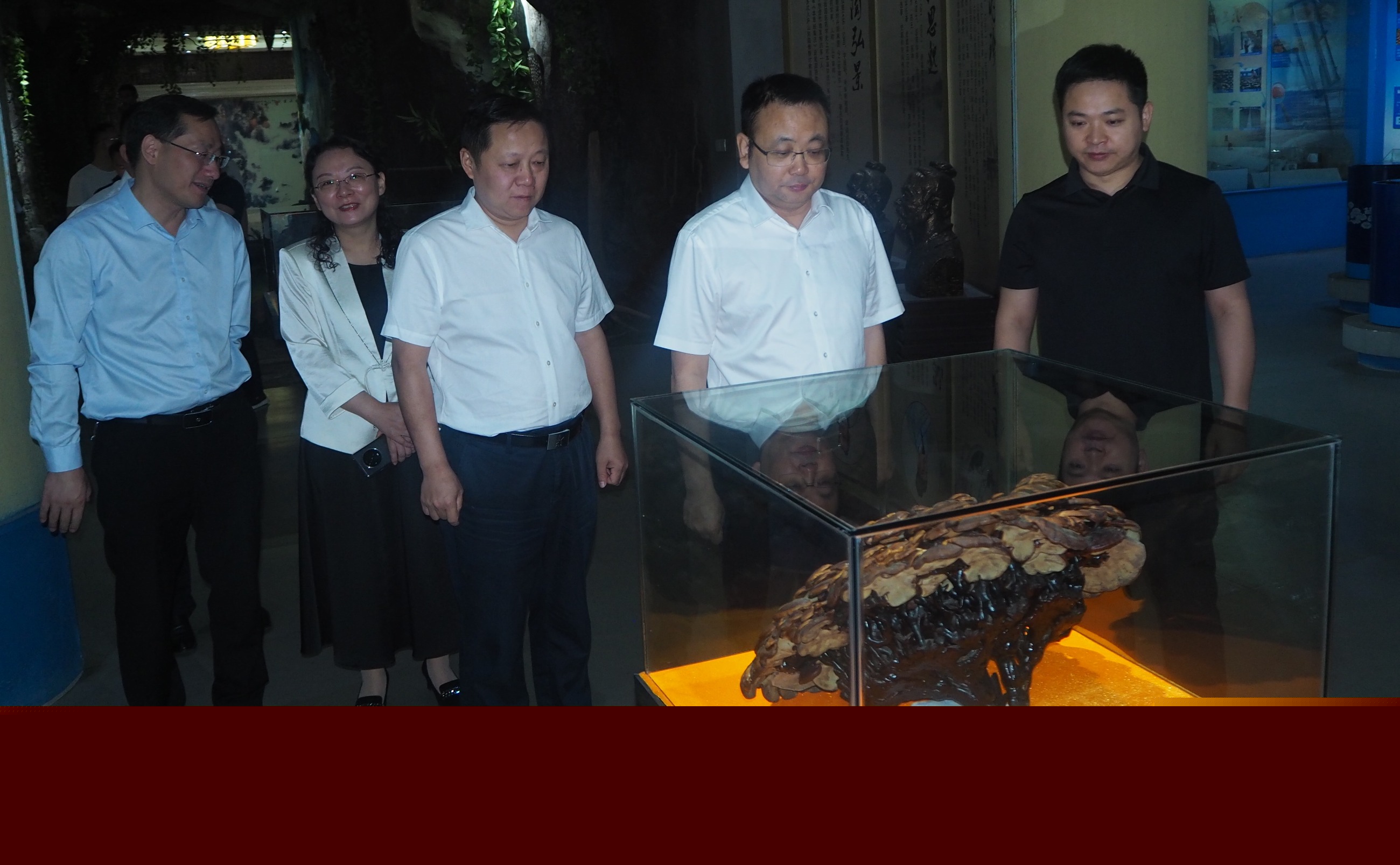 杭州亞運會官方靈芝產(chǎn)品供應商|杭州亞運會官方供應商|中國靈芝十大品牌|仙客來靈芝|仙客來靈芝破壁孢子粉|仙客來孢子油|仙客來靈芝飲片|仙客來破壁孢子粉|靈芝孢子油|孢子粉|靈芝破壁孢子粉|靈芝|中華老字號