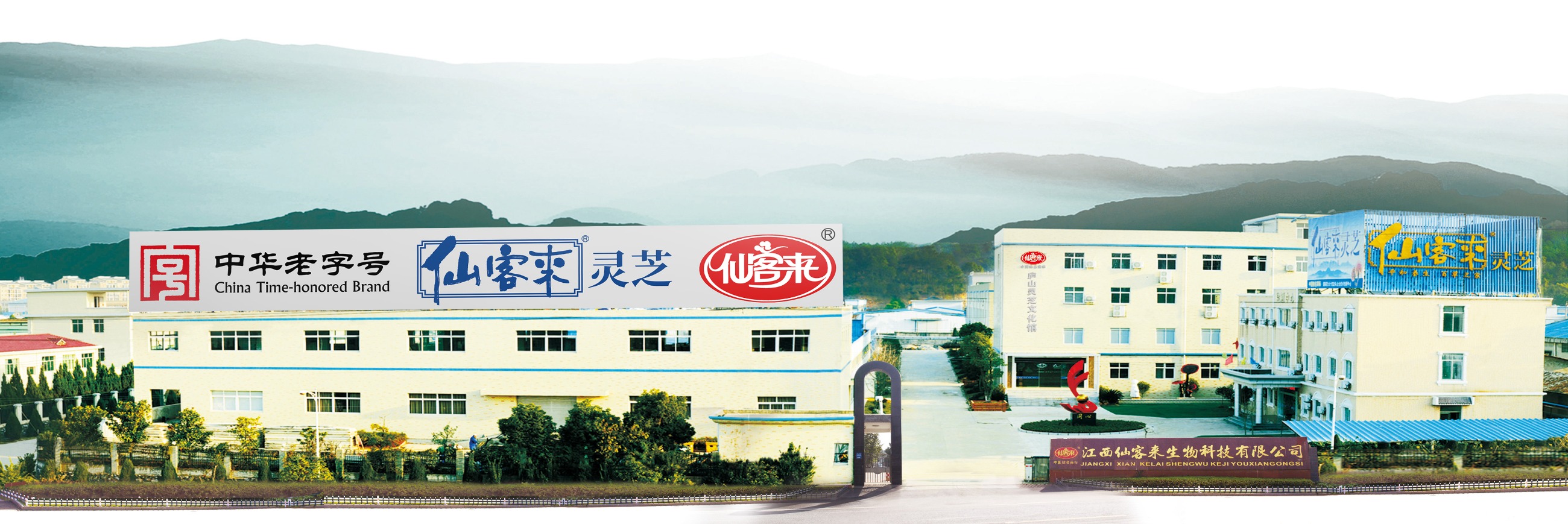 杭州亞運會官方靈芝產品供應商|杭州亞運會官方供應商|中國靈芝十大品牌|仙客來靈芝|仙客來靈芝破壁孢子粉|仙客來孢子油|仙客來靈芝飲片|仙客來破壁孢子粉|靈芝孢子油|孢子粉|靈芝破壁孢子粉|靈芝|中華老字號 杭州亞運會官方靈芝產品供應商|杭州亞運會官方供應商|中國靈芝十大品牌|仙客來靈芝|仙客來靈芝破壁孢子粉|仙客來孢子油|仙客來靈芝飲片|仙客來破壁孢子粉|靈芝孢子油|孢子粉|靈芝破壁孢子粉|靈芝|中華老字號