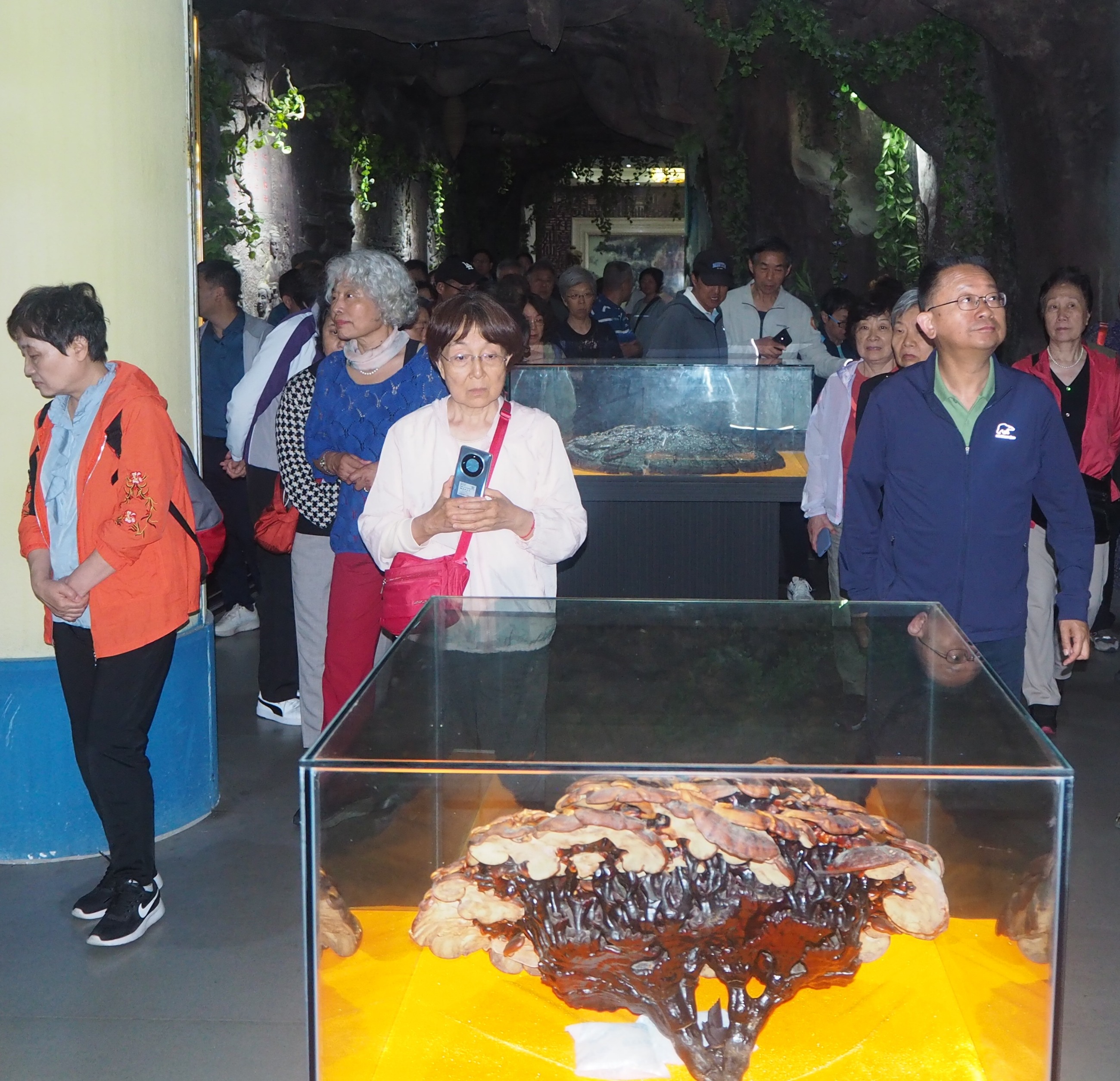 杭州亞運會官方靈芝產(chǎn)品供應(yīng)商|杭州亞運會官方供應(yīng)商|中國靈芝十大品牌|仙客來靈芝|仙客來靈芝破壁孢子粉|仙客來孢子油|仙客來靈芝飲片|仙客來破壁孢子粉|靈芝孢子油|孢子粉|靈芝破壁孢子粉|靈芝|中華老字號 杭州亞運會官方靈芝產(chǎn)品供應(yīng)商|杭州亞運會官方供應(yīng)商|中國靈芝十大品牌|仙客來靈芝|仙客來靈芝破壁孢子粉|仙客來孢子油|仙客來靈芝飲片|仙客來破壁孢子粉|靈芝孢子油|孢子粉|靈芝破壁孢子粉|靈芝|中華老字號