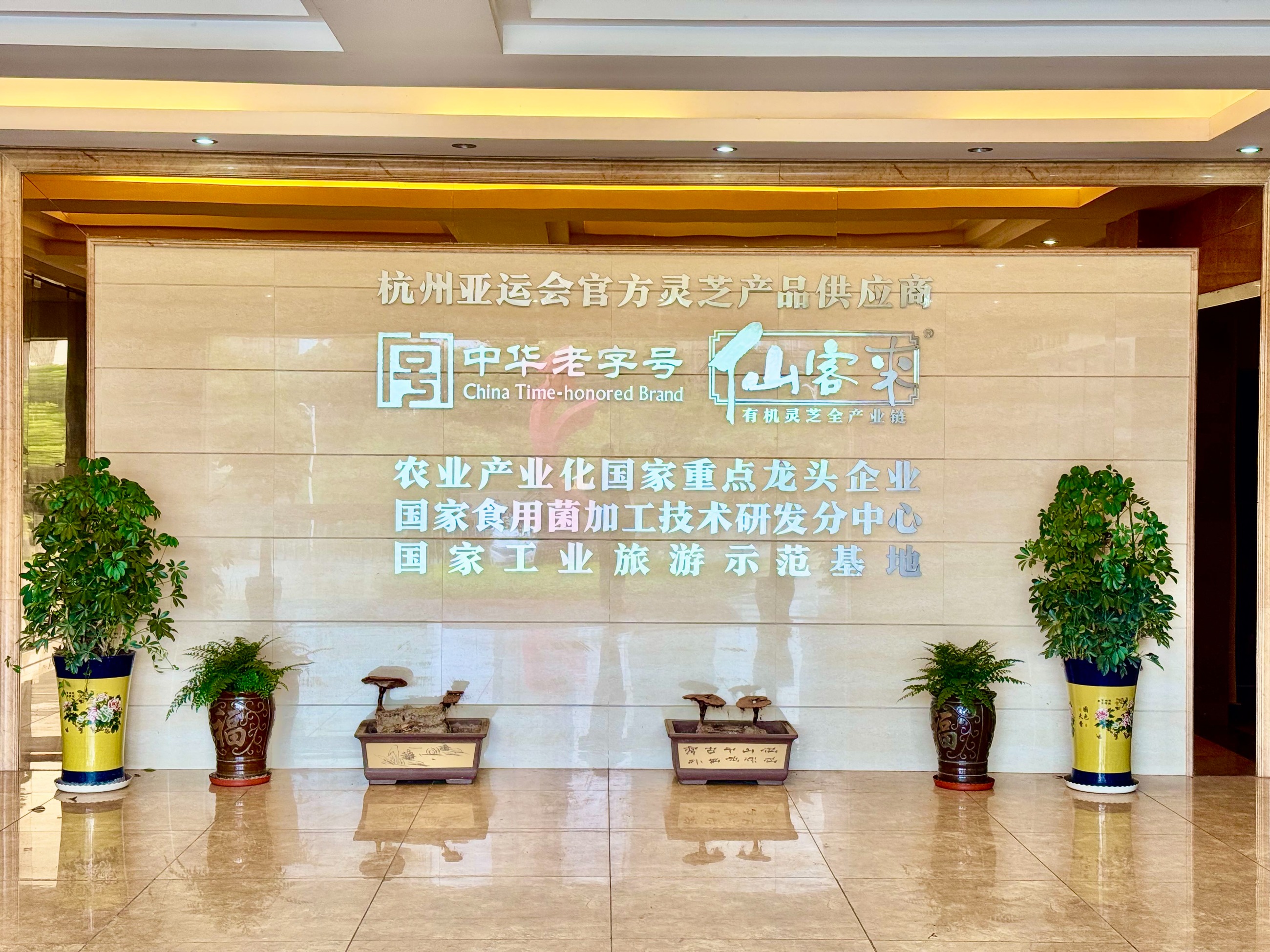 杭州亞運(yùn)會官方靈芝產(chǎn)品供應(yīng)商|杭州亞運(yùn)會官方供應(yīng)商|中國靈芝十大品牌|仙客來靈芝|仙客來靈芝破壁孢子粉|仙客來孢子油|仙客來靈芝飲片|仙客來破壁孢子粉|靈芝孢子油|孢子粉|靈芝破壁孢子粉|靈芝|中華老字號 杭州亞運(yùn)會官方靈芝產(chǎn)品供應(yīng)商|杭州亞運(yùn)會官方供應(yīng)商|中國靈芝十大品牌|仙客來靈芝|仙客來靈芝破壁孢子粉|仙客來孢子油|仙客來靈芝飲片|仙客來破壁孢子粉|靈芝孢子油|孢子粉|靈芝破壁孢子粉|靈芝|中華老字號