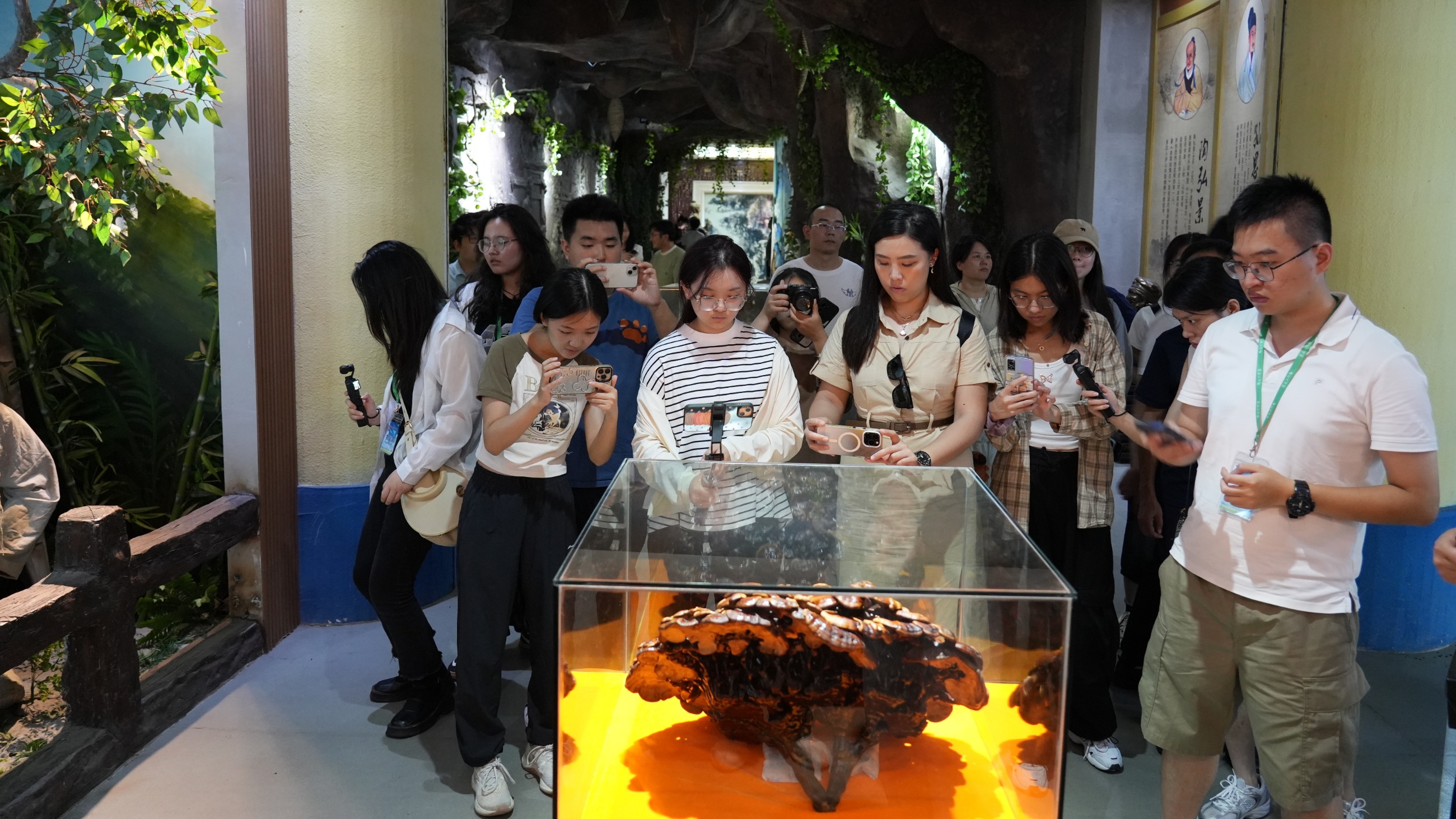 杭州亞運(yùn)會(huì)官方靈芝產(chǎn)品供應(yīng)商|杭州亞運(yùn)會(huì)官方供應(yīng)商|中國(guó)靈芝十大品牌|仙客來(lái)靈芝|仙客來(lái)靈芝破壁孢子粉|仙客來(lái)孢子油|仙客來(lái)靈芝飲片|仙客來(lái)破壁孢子粉|靈芝孢子油|孢子粉|靈芝破壁孢子粉|靈芝|中華老字號(hào) 杭州亞運(yùn)會(huì)官方靈芝產(chǎn)品供應(yīng)商|杭州亞運(yùn)會(huì)官方供應(yīng)商|中國(guó)靈芝十大品牌|仙客來(lái)靈芝|仙客來(lái)靈芝破壁孢子粉|仙客來(lái)孢子油|仙客來(lái)靈芝飲片|仙客來(lái)破壁孢子粉|靈芝孢子油|孢子粉|靈芝破壁孢子粉|靈芝|中華老字號(hào)