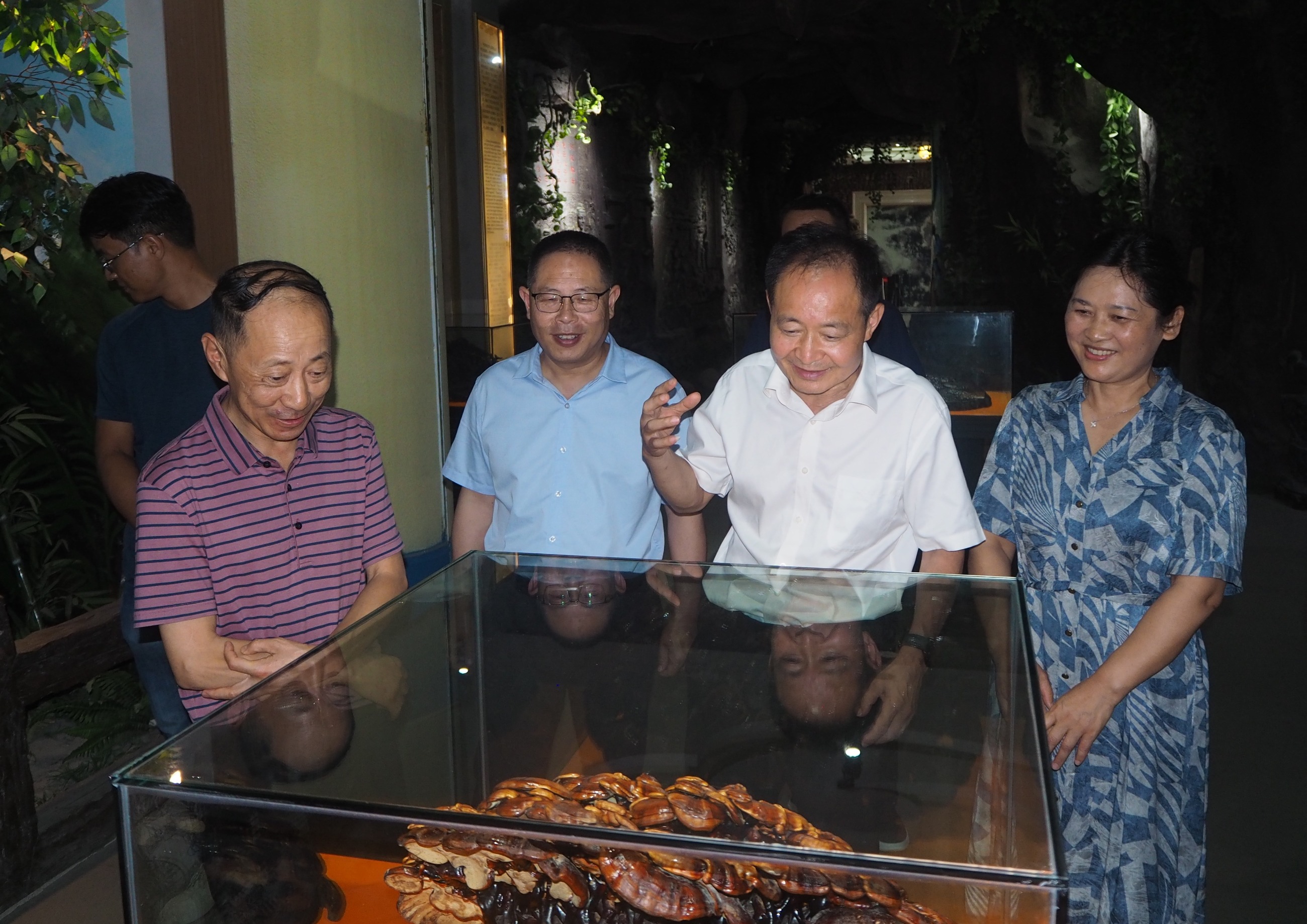 杭州亞運(yùn)會(huì)官方靈芝產(chǎn)品供應(yīng)商|杭州亞運(yùn)會(huì)官方供應(yīng)商|中國(guó)靈芝十大品牌|仙客來(lái)靈芝|仙客來(lái)靈芝破壁孢子粉|仙客來(lái)孢子油|仙客來(lái)靈芝飲片|仙客來(lái)破壁孢子粉|靈芝孢子油|孢子粉|靈芝破壁孢子粉|靈芝|中華老字號(hào) 杭州亞運(yùn)會(huì)官方靈芝產(chǎn)品供應(yīng)商|杭州亞運(yùn)會(huì)官方供應(yīng)商|中國(guó)靈芝十大品牌|仙客來(lái)靈芝|仙客來(lái)靈芝破壁孢子粉|仙客來(lái)孢子油|仙客來(lái)靈芝飲片|仙客來(lái)破壁孢子粉|靈芝孢子油|孢子粉|靈芝破壁孢子粉|靈芝|中華老字號(hào)