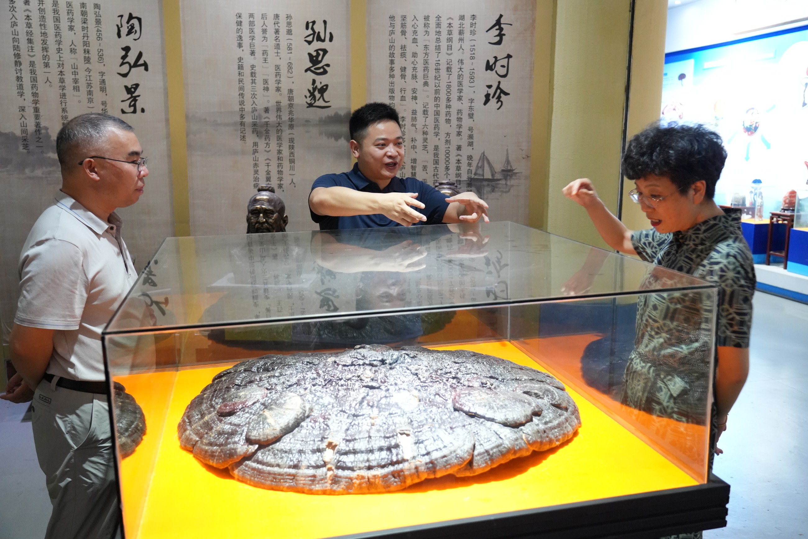 杭州亞運會官方靈芝產(chǎn)品供應(yīng)商|杭州亞運會官方供應(yīng)商|中國靈芝十大品牌|仙客來靈芝|仙客來靈芝破壁孢子粉|仙客來孢子油|仙客來靈芝飲片|仙客來破壁孢子粉|靈芝孢子油|孢子粉|靈芝破壁孢子粉|靈芝|中華老字號 杭州亞運會官方靈芝產(chǎn)品供應(yīng)商|杭州亞運會官方供應(yīng)商|中國靈芝十大品牌|仙客來靈芝|仙客來靈芝破壁孢子粉|仙客來孢子油|仙客來靈芝飲片|仙客來破壁孢子粉|靈芝孢子油|孢子粉|靈芝破壁孢子粉|靈芝|中華老字號