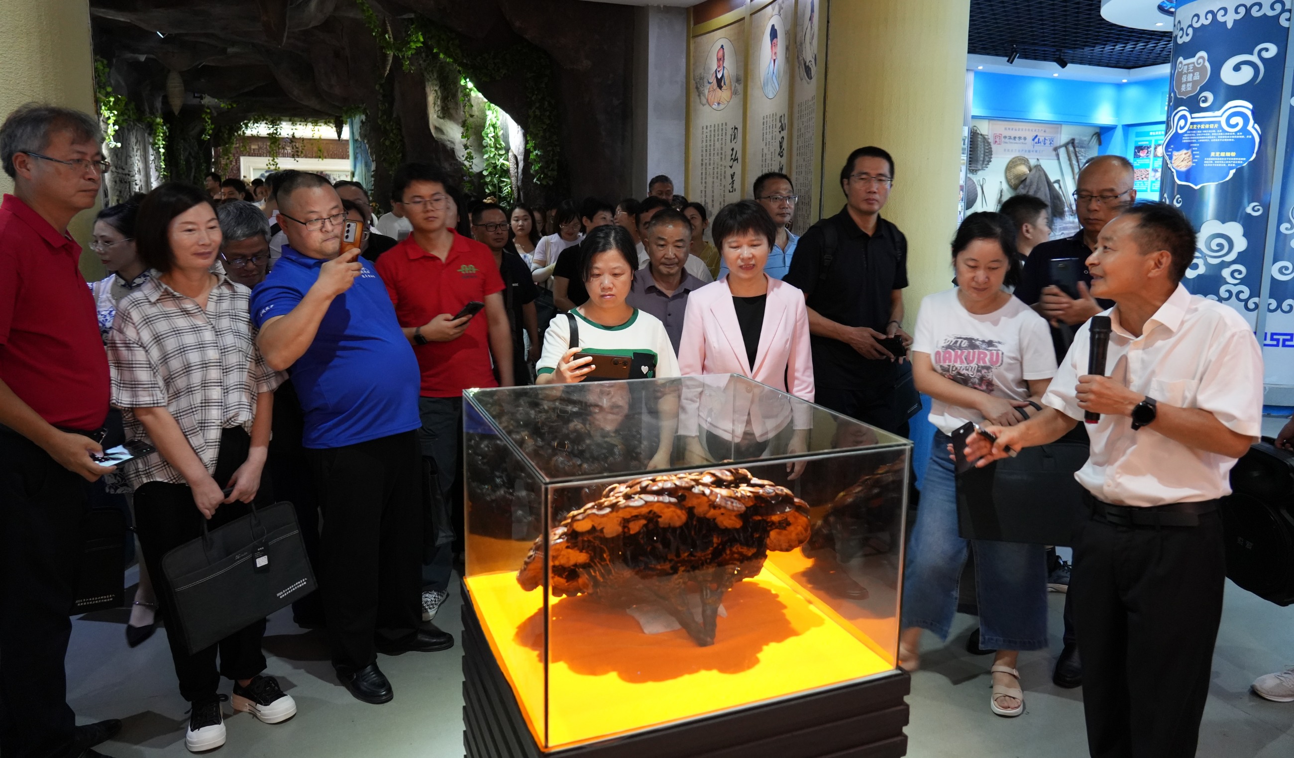 杭州亞運(yùn)會(huì)官方靈芝產(chǎn)品供應(yīng)商|杭州亞運(yùn)會(huì)官方供應(yīng)商|中國(guó)靈芝十大品牌|仙客來(lái)靈芝|仙客來(lái)靈芝破壁孢子粉|仙客來(lái)孢子油|仙客來(lái)靈芝飲片|仙客來(lái)破壁孢子粉|靈芝孢子油|孢子粉|靈芝破壁孢子粉|靈芝|中華老字號(hào) 杭州亞運(yùn)會(huì)官方靈芝產(chǎn)品供應(yīng)商|杭州亞運(yùn)會(huì)官方供應(yīng)商|中國(guó)靈芝十大品牌|仙客來(lái)靈芝|仙客來(lái)靈芝破壁孢子粉|仙客來(lái)孢子油|仙客來(lái)靈芝飲片|仙客來(lái)破壁孢子粉|靈芝孢子油|孢子粉|靈芝破壁孢子粉|靈芝|中華老字號(hào)