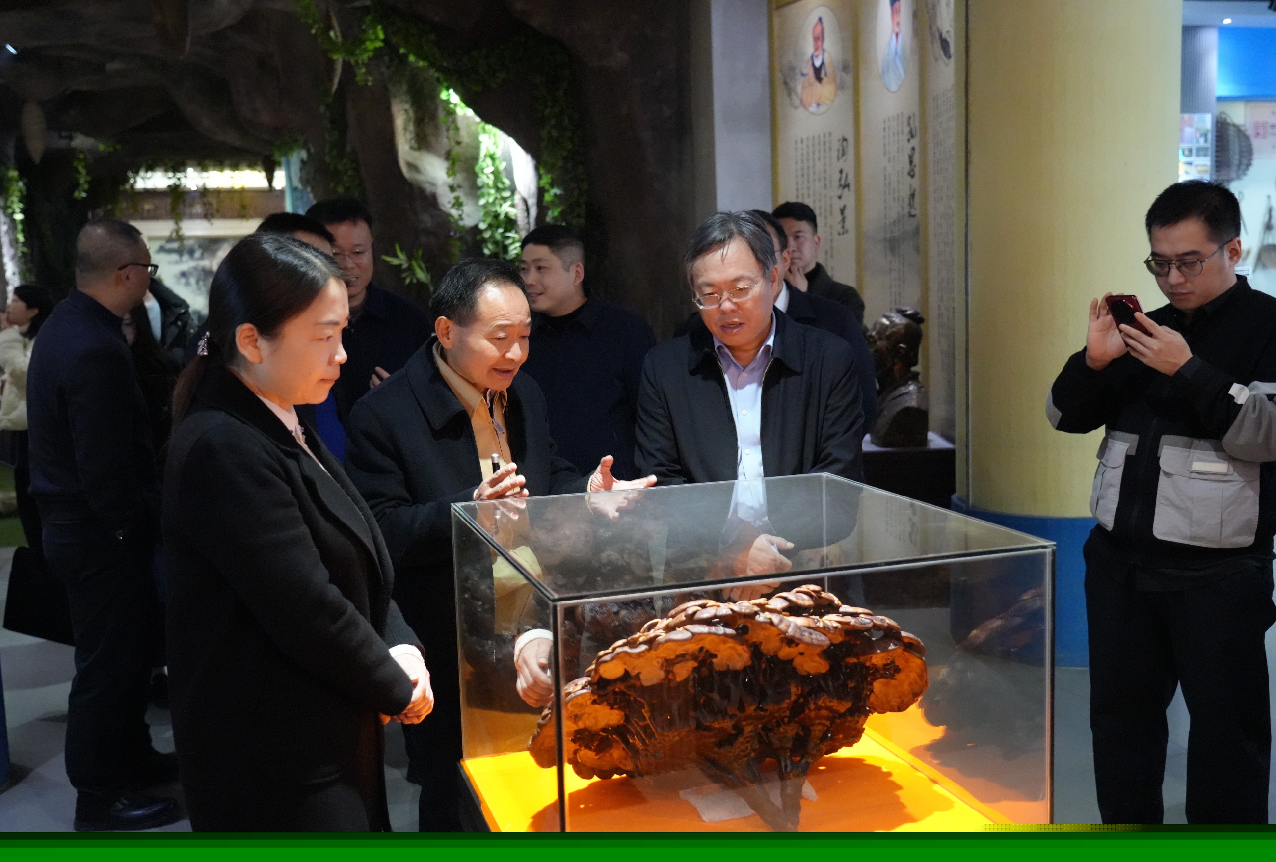 杭州亞運(yùn)會(huì)官方靈芝產(chǎn)品供應(yīng)商|杭州亞運(yùn)會(huì)官方供應(yīng)商|中國靈芝十大品牌|仙客來靈芝|仙客來靈芝破壁孢子粉|仙客來孢子油|仙客來靈芝飲片|仙客來破壁孢子粉|靈芝孢子油|孢子粉|靈芝破壁孢子粉|靈芝|中華老字號(hào)