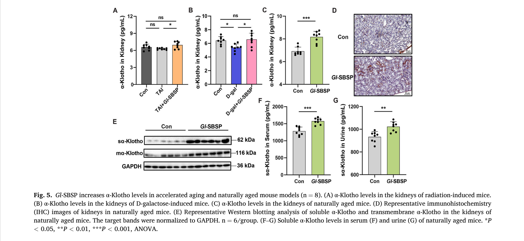 杭州亞運(yùn)會官方靈芝產(chǎn)品供應(yīng)商|杭州亞運(yùn)會官方供應(yīng)商|中國靈芝十大品牌|仙客來靈芝|仙客來靈芝破壁孢子粉|仙客來孢子油|仙客來靈芝飲片|仙客來破壁孢子粉|靈芝孢子油|孢子粉|靈芝破壁孢子粉|靈芝|中華老字號 杭州亞運(yùn)會官方靈芝產(chǎn)品供應(yīng)商|杭州亞運(yùn)會官方供應(yīng)商|中國靈芝十大品牌|仙客來靈芝|仙客來靈芝破壁孢子粉|仙客來孢子油|仙客來靈芝飲片|仙客來破壁孢子粉|靈芝孢子油|孢子粉|靈芝破壁孢子粉|靈芝|中華老字號