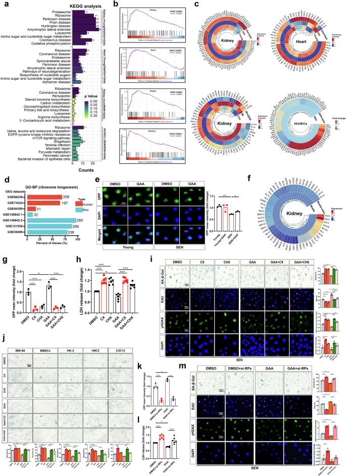杭州亞運(yùn)會(huì)官方靈芝產(chǎn)品供應(yīng)商|杭州亞運(yùn)會(huì)官方供應(yīng)商|中國(guó)靈芝十大品牌|仙客來靈芝|仙客來靈芝破壁孢子粉|仙客來孢子油|仙客來靈芝飲片|仙客來破壁孢子粉|靈芝孢子油|孢子粉|靈芝破壁孢子粉|靈芝|中華老字號(hào) 杭州亞運(yùn)會(huì)官方靈芝產(chǎn)品供應(yīng)商|杭州亞運(yùn)會(huì)官方供應(yīng)商|中國(guó)靈芝十大品牌|仙客來靈芝|仙客來靈芝破壁孢子粉|仙客來孢子油|仙客來靈芝飲片|仙客來破壁孢子粉|靈芝孢子油|孢子粉|靈芝破壁孢子粉|靈芝|中華老字號(hào)