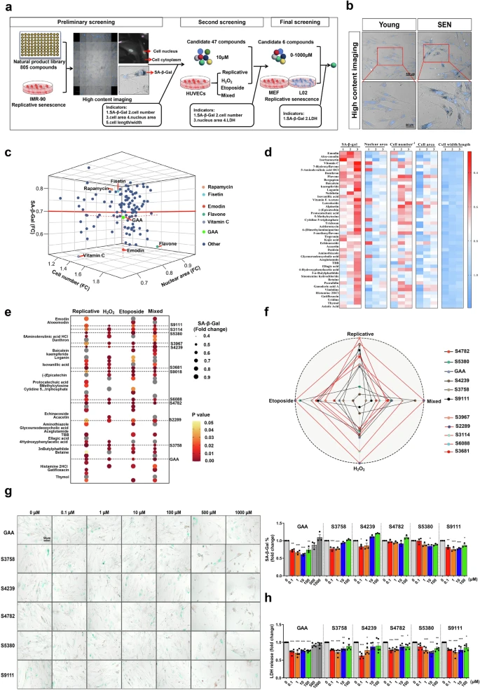 杭州亞運(yùn)會(huì)官方靈芝產(chǎn)品供應(yīng)商|杭州亞運(yùn)會(huì)官方供應(yīng)商|中國(guó)靈芝十大品牌|仙客來靈芝|仙客來靈芝破壁孢子粉|仙客來孢子油|仙客來靈芝飲片|仙客來破壁孢子粉|靈芝孢子油|孢子粉|靈芝破壁孢子粉|靈芝|中華老字號(hào) 杭州亞運(yùn)會(huì)官方靈芝產(chǎn)品供應(yīng)商|杭州亞運(yùn)會(huì)官方供應(yīng)商|中國(guó)靈芝十大品牌|仙客來靈芝|仙客來靈芝破壁孢子粉|仙客來孢子油|仙客來靈芝飲片|仙客來破壁孢子粉|靈芝孢子油|孢子粉|靈芝破壁孢子粉|靈芝|中華老字號(hào)