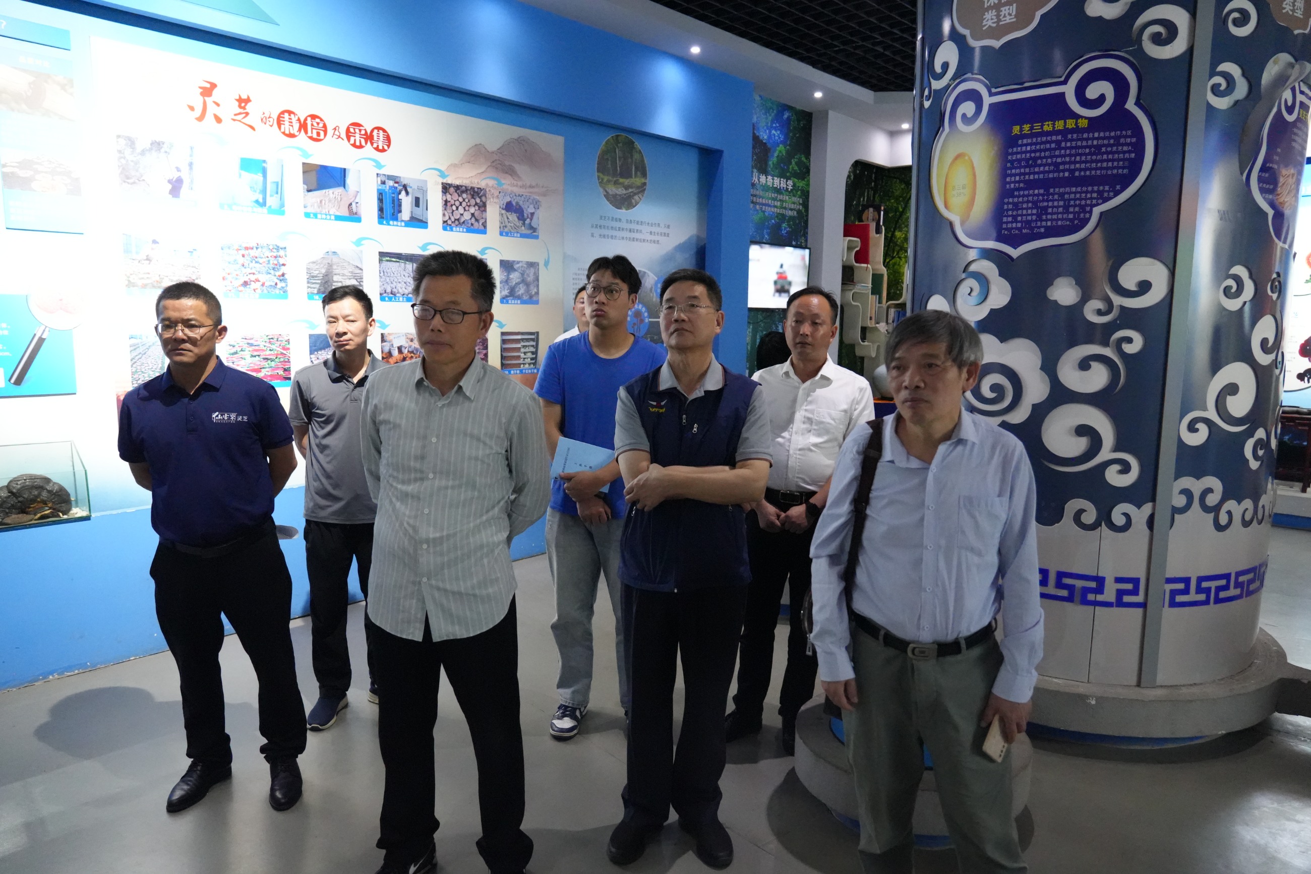 杭州亞運(yùn)會(huì)官方靈芝產(chǎn)品供應(yīng)商|杭州亞運(yùn)會(huì)官方供應(yīng)商|中國(guó)靈芝十大品牌|仙客來(lái)靈芝|仙客來(lái)靈芝破壁孢子粉|仙客來(lái)孢子油|仙客來(lái)靈芝飲片|仙客來(lái)破壁孢子粉|靈芝孢子油|孢子粉|靈芝破壁孢子粉|靈芝|中華老字號(hào)