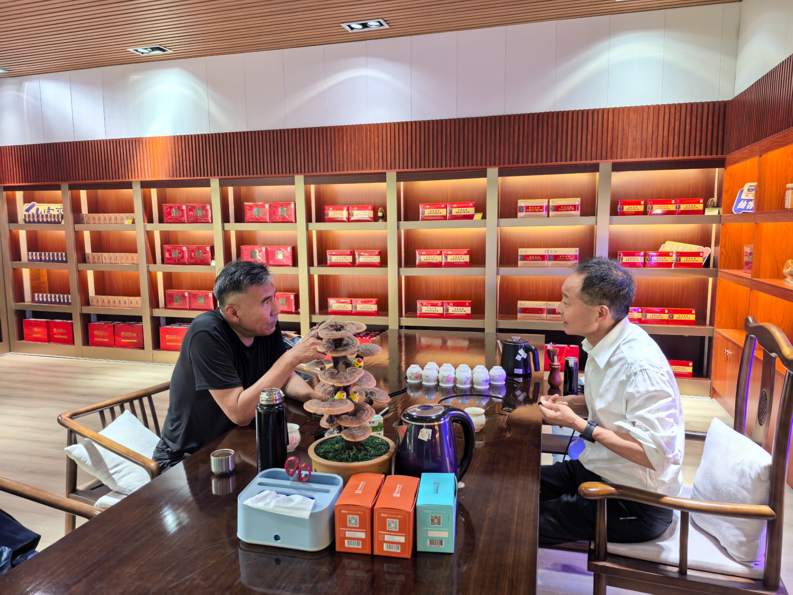 杭州亞運會官方靈芝產品供應商|杭州亞運會官方供應商|中國靈芝十大品牌|仙客來靈芝|仙客來靈芝破壁孢子粉|仙客來孢子油|仙客來靈芝飲片|仙客來破壁孢子粉|靈芝孢子油|孢子粉|靈芝破壁孢子粉|靈芝|中華老字號