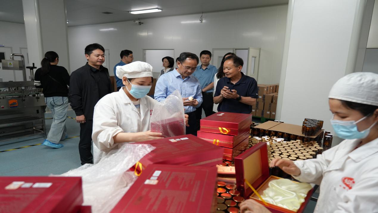 杭州亞運(yùn)會(huì)官方靈芝產(chǎn)品供應(yīng)商|杭州亞運(yùn)會(huì)官方供應(yīng)商|中國(guó)靈芝十大品牌|仙客來靈芝|仙客來靈芝破壁孢子粉|仙客來孢子油|仙客來靈芝飲片|仙客來破壁孢子粉|靈芝孢子油|孢子粉|靈芝破壁孢子粉|靈芝|中華老字號(hào)