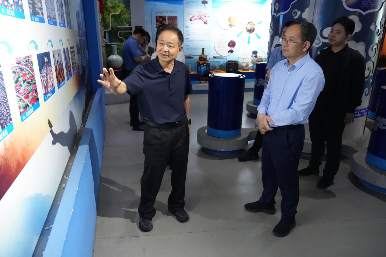 杭州亞運(yùn)會(huì)官方靈芝產(chǎn)品供應(yīng)商|杭州亞運(yùn)會(huì)官方供應(yīng)商|中國(guó)靈芝十大品牌|仙客來靈芝|仙客來靈芝破壁孢子粉|仙客來孢子油|仙客來靈芝飲片|仙客來破壁孢子粉|靈芝孢子油|孢子粉|靈芝破壁孢子粉|靈芝|中華老字號(hào)