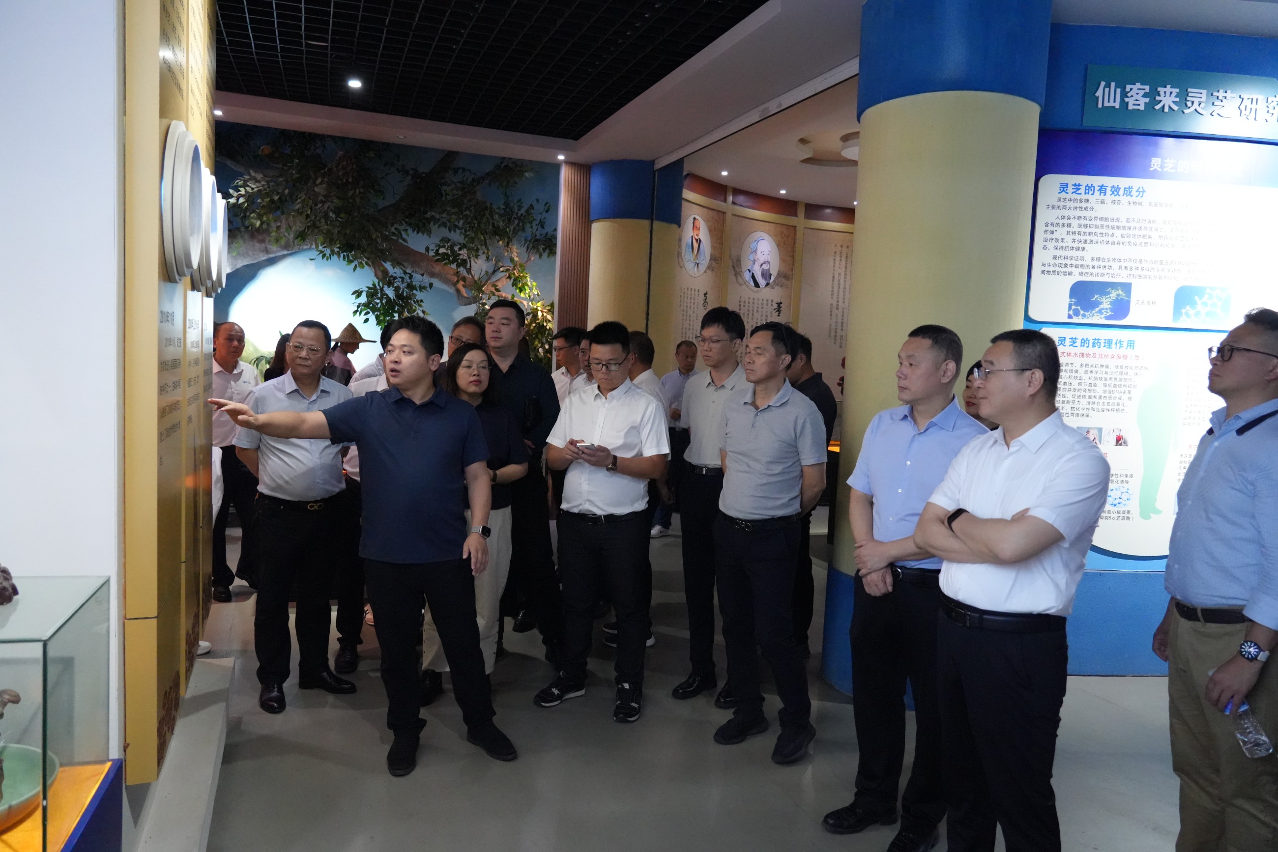 杭州亞運(yùn)會(huì)官方靈芝產(chǎn)品供應(yīng)商|杭州亞運(yùn)會(huì)官方供應(yīng)商|中國(guó)靈芝十大品牌|仙客來(lái)靈芝|仙客來(lái)靈芝破壁孢子粉|仙客來(lái)孢子油|仙客來(lái)靈芝飲片|仙客來(lái)破壁孢子粉|靈芝孢子油|孢子粉|靈芝破壁孢子粉|靈芝|中華老字號(hào)