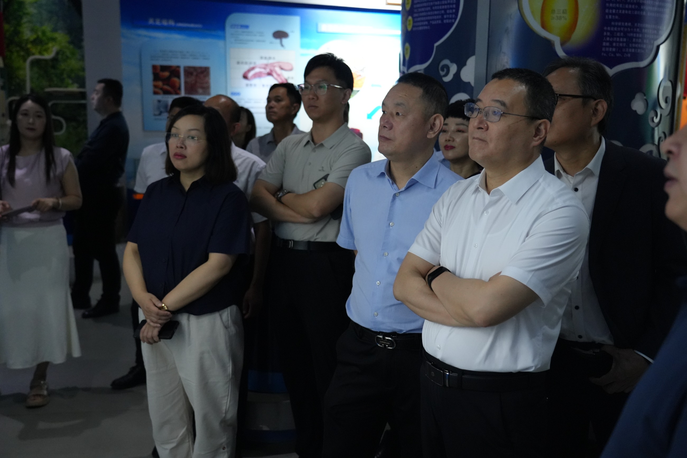 杭州亞運(yùn)會(huì)官方靈芝產(chǎn)品供應(yīng)商|杭州亞運(yùn)會(huì)官方供應(yīng)商|中國(guó)靈芝十大品牌|仙客來(lái)靈芝|仙客來(lái)靈芝破壁孢子粉|仙客來(lái)孢子油|仙客來(lái)靈芝飲片|仙客來(lái)破壁孢子粉|靈芝孢子油|孢子粉|靈芝破壁孢子粉|靈芝|中華老字號(hào)