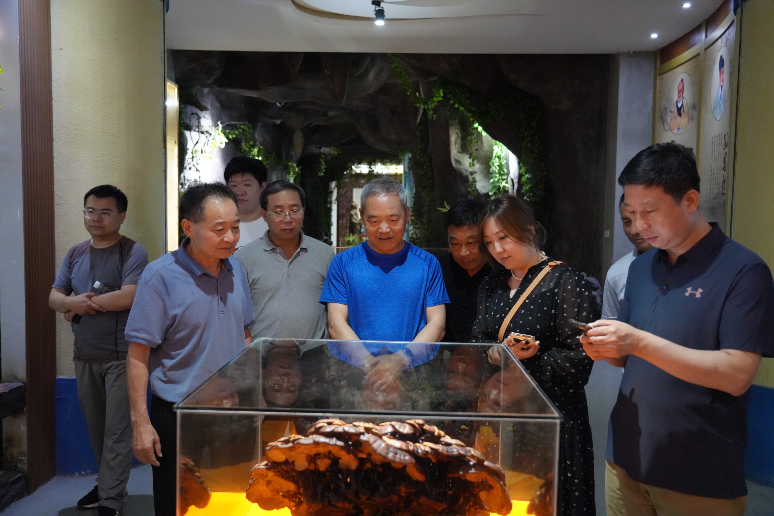 杭州亞運會官方靈芝產(chǎn)品供應(yīng)商|杭州亞運會官方供應(yīng)商|中國靈芝十大品牌|仙客來靈芝|仙客來靈芝破壁孢子粉|仙客來孢子油|仙客來靈芝飲片|仙客來破壁孢子粉|靈芝孢子油|孢子粉|靈芝破壁孢子粉|靈芝|中華老字號