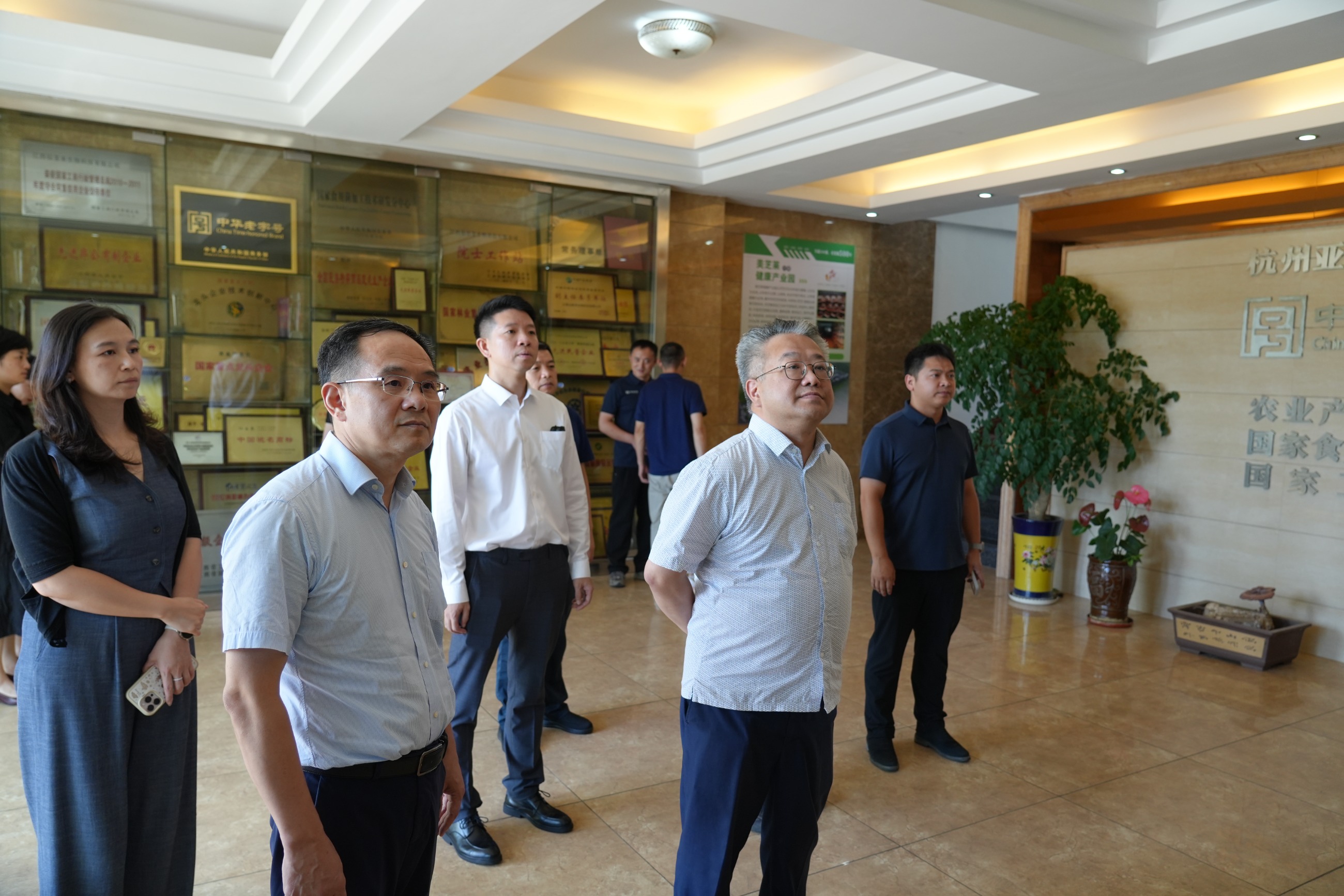 杭州亞運(yùn)會(huì)官方靈芝產(chǎn)品供應(yīng)商|杭州亞運(yùn)會(huì)官方供應(yīng)商|中國靈芝十大品牌|仙客來靈芝|仙客來靈芝破壁孢子粉|仙客來孢子油|仙客來靈芝飲片|仙客來破壁孢子粉|靈芝孢子油|孢子粉|靈芝破壁孢子粉|靈芝|中華老字號(hào)