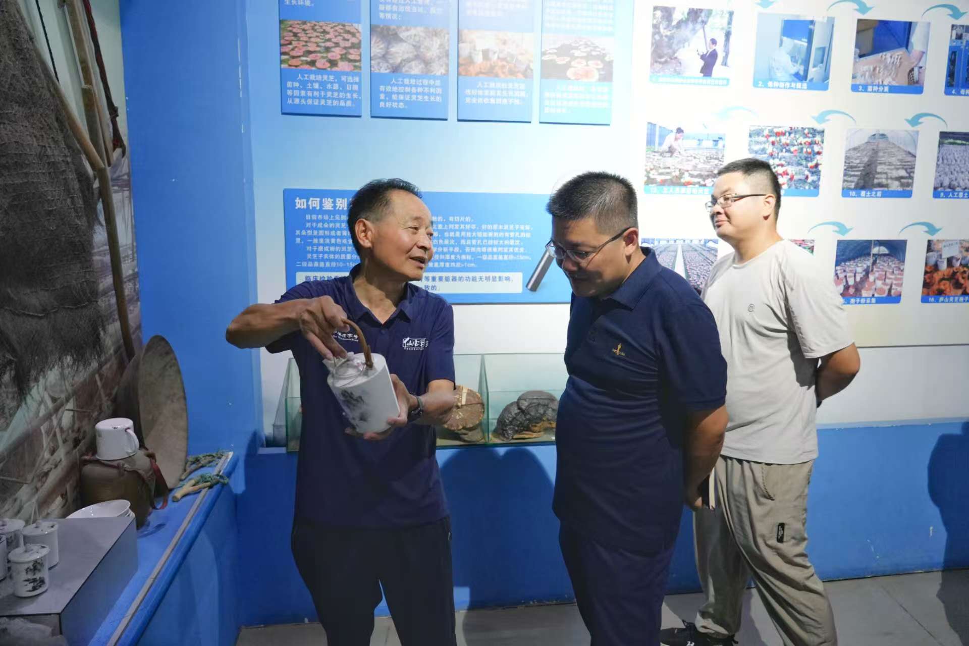 杭州亞運(yùn)會(huì)官方靈芝產(chǎn)品供應(yīng)商|杭州亞運(yùn)會(huì)官方供應(yīng)商|中國(guó)靈芝十大品牌|仙客來靈芝|仙客來靈芝破壁孢子粉|仙客來孢子油|仙客來靈芝飲片|仙客來破壁孢子粉|靈芝孢子油|孢子粉|靈芝破壁孢子粉|靈芝|中華老字號(hào)