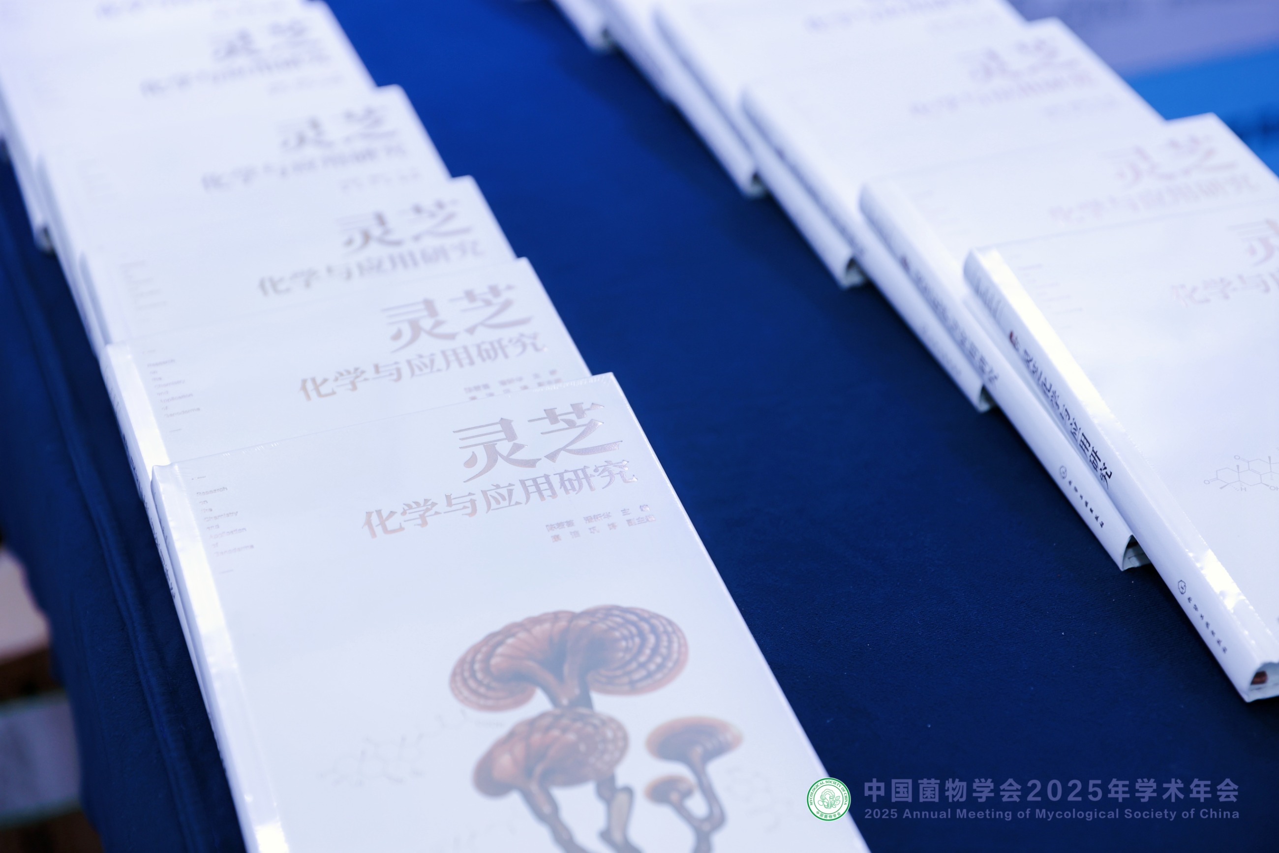 杭州亞運(yùn)會(huì)官方靈芝產(chǎn)品供應(yīng)商|杭州亞運(yùn)會(huì)官方供應(yīng)商|中國(guó)靈芝十大品牌|仙客來(lái)靈芝|仙客來(lái)靈芝破壁孢子粉|仙客來(lái)孢子油|仙客來(lái)靈芝飲片|仙客來(lái)破壁孢子粉|靈芝孢子油|孢子粉|靈芝破壁孢子粉|靈芝|中華老字號(hào) 杭州亞運(yùn)會(huì)官方靈芝產(chǎn)品供應(yīng)商|杭州亞運(yùn)會(huì)官方供應(yīng)商|中國(guó)靈芝十大品牌|仙客來(lái)靈芝|仙客來(lái)靈芝破壁孢子粉|仙客來(lái)孢子油|仙客來(lái)靈芝飲片|仙客來(lái)破壁孢子粉|靈芝孢子油|孢子粉|靈芝破壁孢子粉|靈芝|中華老字號(hào)