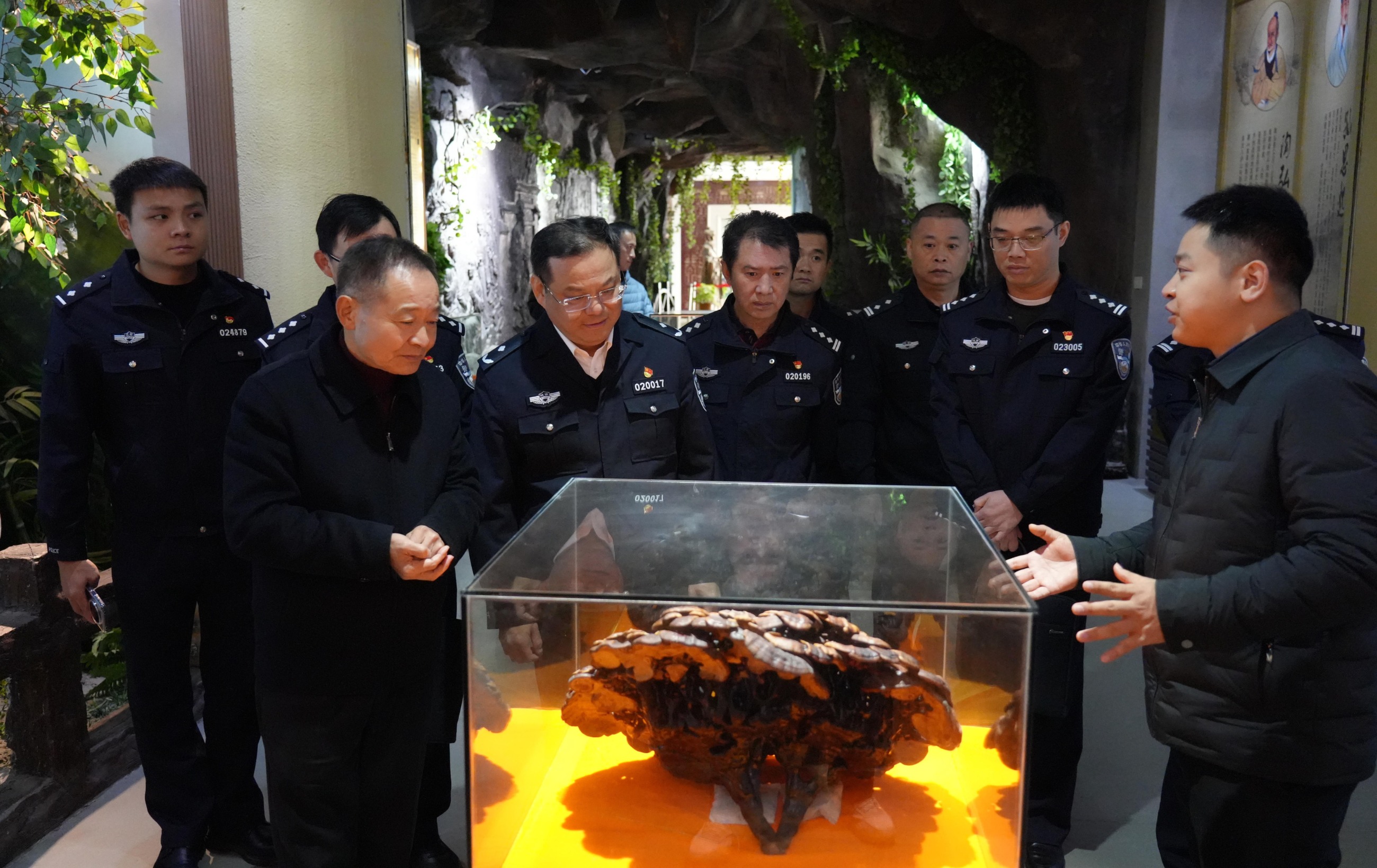 杭州亞運(yùn)會(huì)官方靈芝產(chǎn)品供應(yīng)商|杭州亞運(yùn)會(huì)官方供應(yīng)商|中國靈芝十大品牌|仙客來靈芝|仙客來靈芝破壁孢子粉|仙客來孢子油|仙客來靈芝飲片|仙客來破壁孢子粉|靈芝孢子油|孢子粉|靈芝破壁孢子粉|靈芝|中華老字號(hào) 杭州亞運(yùn)會(huì)官方靈芝產(chǎn)品供應(yīng)商|杭州亞運(yùn)會(huì)官方供應(yīng)商|中國靈芝十大品牌|仙客來靈芝|仙客來靈芝破壁孢子粉|仙客來孢子油|仙客來靈芝飲片|仙客來破壁孢子粉|靈芝孢子油|孢子粉|靈芝破壁孢子粉|靈芝|中華老字號(hào)