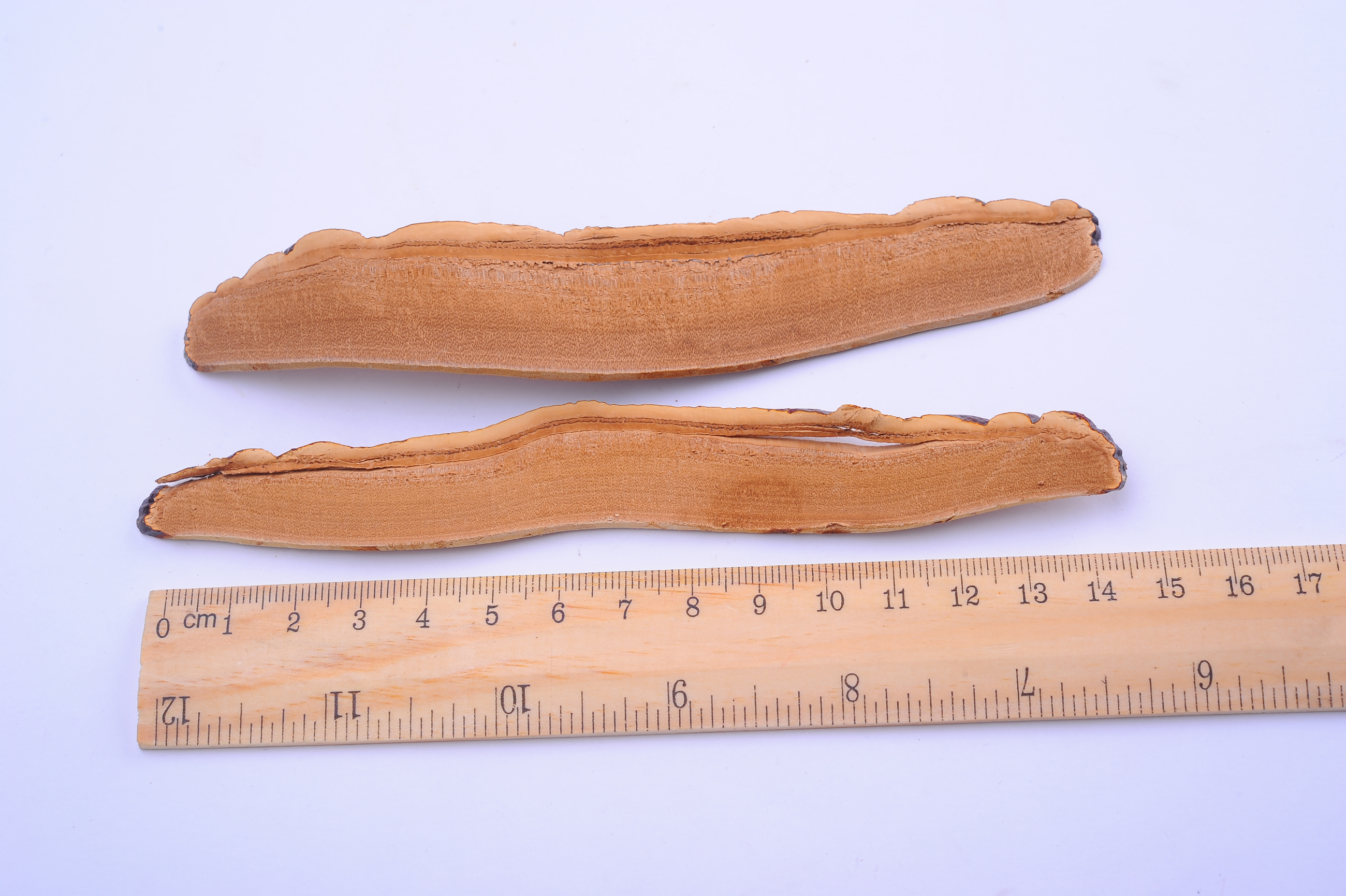 杭州亞運(yùn)會官方靈芝產(chǎn)品供應(yīng)商|杭州亞運(yùn)會官方供應(yīng)商|中國靈芝十大品牌|仙客來靈芝|仙客來靈芝破壁孢子粉|仙客來孢子油|仙客來靈芝飲片|仙客來破壁孢子粉|靈芝孢子油|孢子粉|靈芝破壁孢子粉|靈芝|中華老字號 杭州亞運(yùn)會官方靈芝產(chǎn)品供應(yīng)商|杭州亞運(yùn)會官方供應(yīng)商|中國靈芝十大品牌|仙客來靈芝|仙客來靈芝破壁孢子粉|仙客來孢子油|仙客來靈芝飲片|仙客來破壁孢子粉|靈芝孢子油|孢子粉|靈芝破壁孢子粉|靈芝|中華老字號