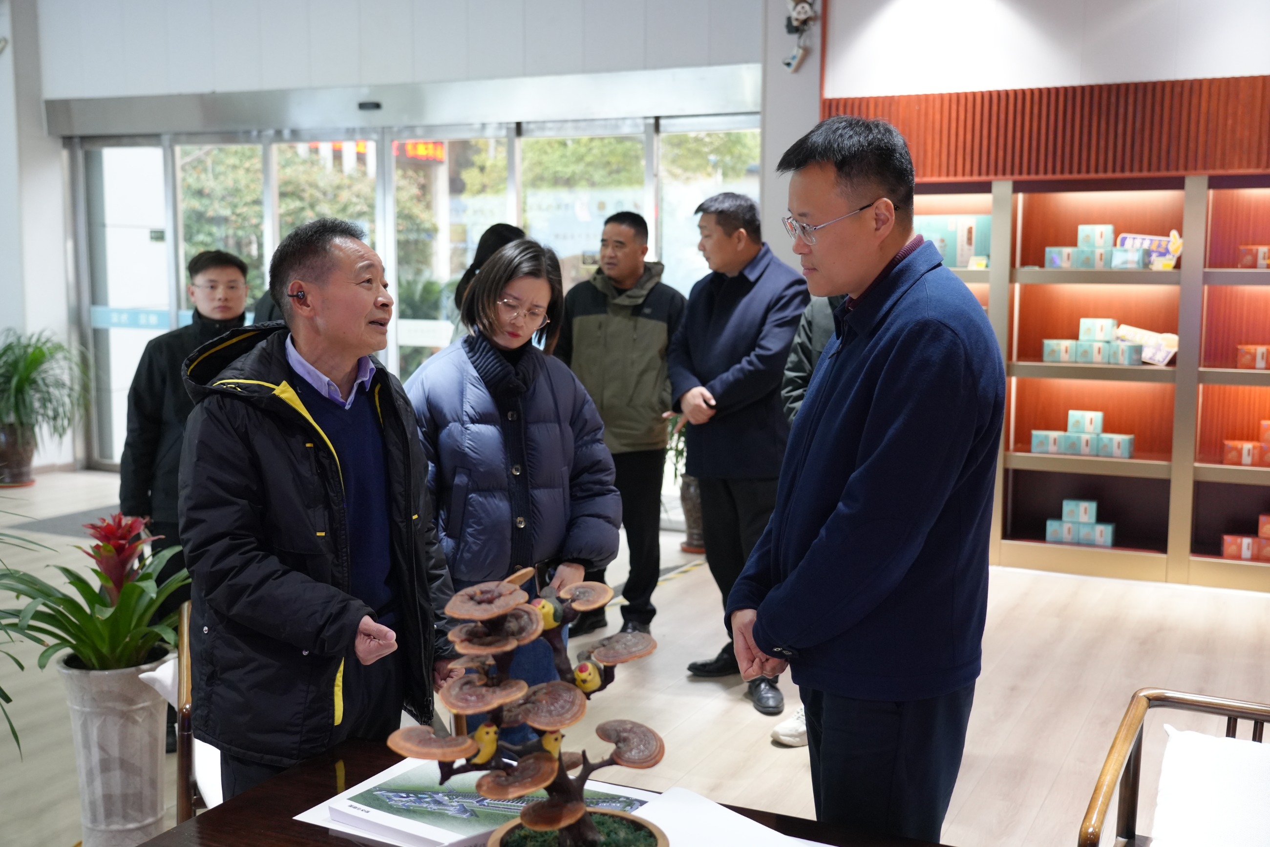 杭州亞運會官方靈芝產(chǎn)品供應商|杭州亞運會官方供應商|中國靈芝十大品牌|仙客來靈芝|仙客來靈芝破壁孢子粉|仙客來孢子油|仙客來靈芝飲片|仙客來破壁孢子粉|靈芝孢子油|孢子粉|靈芝破壁孢子粉|靈芝|中華老字號 杭州亞運會官方靈芝產(chǎn)品供應商|杭州亞運會官方供應商|中國靈芝十大品牌|仙客來靈芝|仙客來靈芝破壁孢子粉|仙客來孢子油|仙客來靈芝飲片|仙客來破壁孢子粉|靈芝孢子油|孢子粉|靈芝破壁孢子粉|靈芝|中華老字號