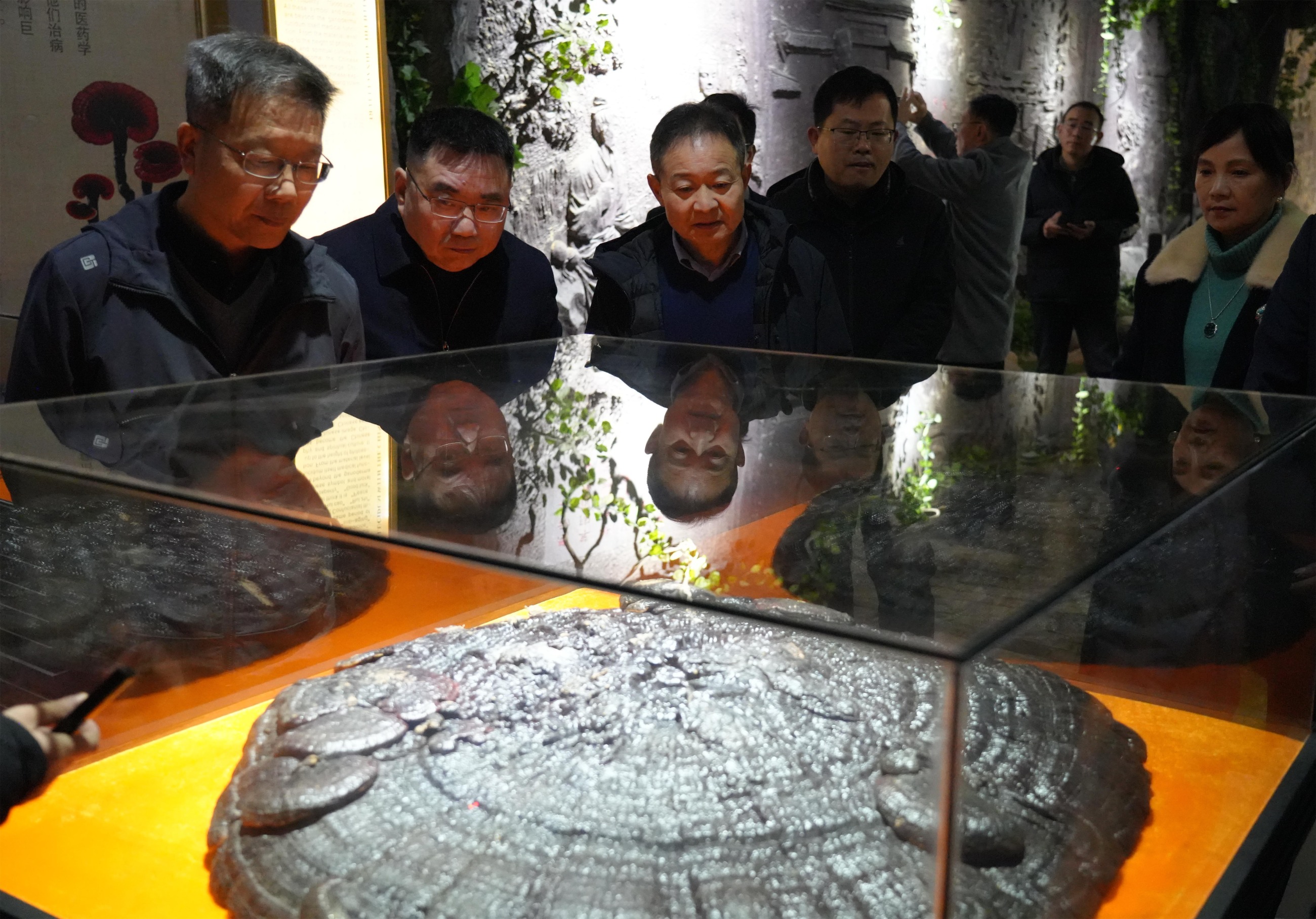 杭州亞運(yùn)會(huì)官方靈芝產(chǎn)品供應(yīng)商|杭州亞運(yùn)會(huì)官方供應(yīng)商|中國(guó)靈芝十大品牌|仙客來(lái)靈芝|仙客來(lái)靈芝破壁孢子粉|仙客來(lái)孢子油|仙客來(lái)靈芝飲片|仙客來(lái)破壁孢子粉|靈芝孢子油|孢子粉|靈芝破壁孢子粉|靈芝|中華老字號(hào) 杭州亞運(yùn)會(huì)官方靈芝產(chǎn)品供應(yīng)商|杭州亞運(yùn)會(huì)官方供應(yīng)商|中國(guó)靈芝十大品牌|仙客來(lái)靈芝|仙客來(lái)靈芝破壁孢子粉|仙客來(lái)孢子油|仙客來(lái)靈芝飲片|仙客來(lái)破壁孢子粉|靈芝孢子油|孢子粉|靈芝破壁孢子粉|靈芝|中華老字號(hào)