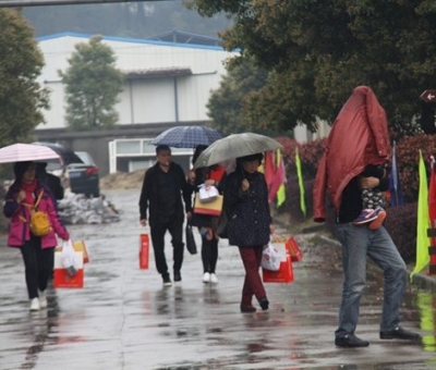九江暴雨，仙客來“暴游”