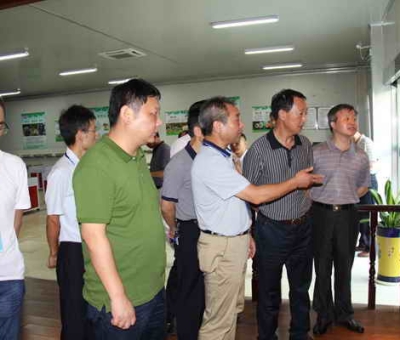 德安縣委、人大、政協(xié)領(lǐng)導(dǎo)考察仙客來公司