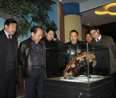 市委常委、宣傳部長(zhǎng)潘熙寧，副市長(zhǎng)盧天錫蒞臨仙客來公司走訪