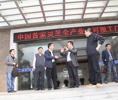 江西省國稅局領導蒞臨仙客來指導出口創(chuàng)匯工作